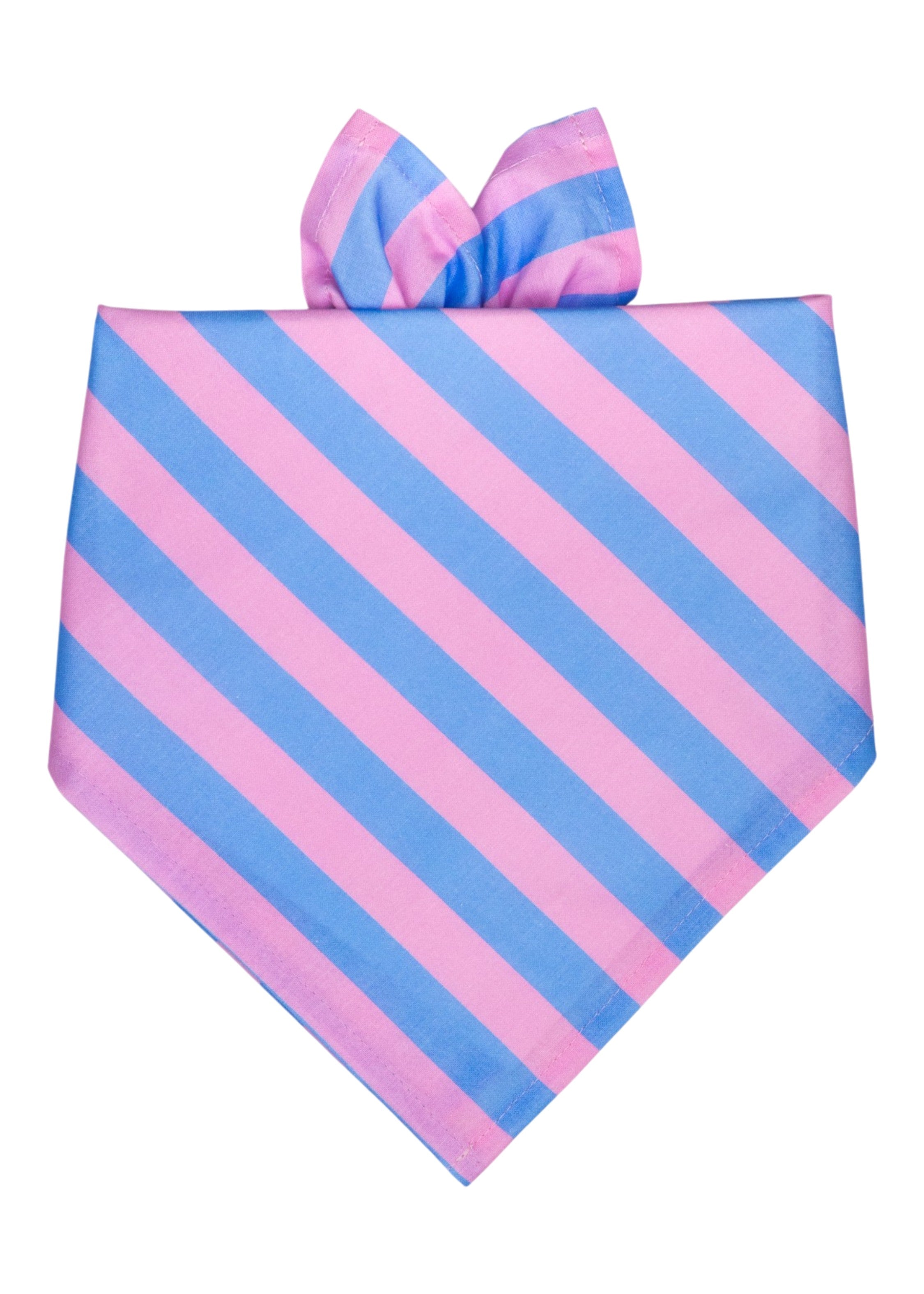 Alfresco Stripe Dog Bandana