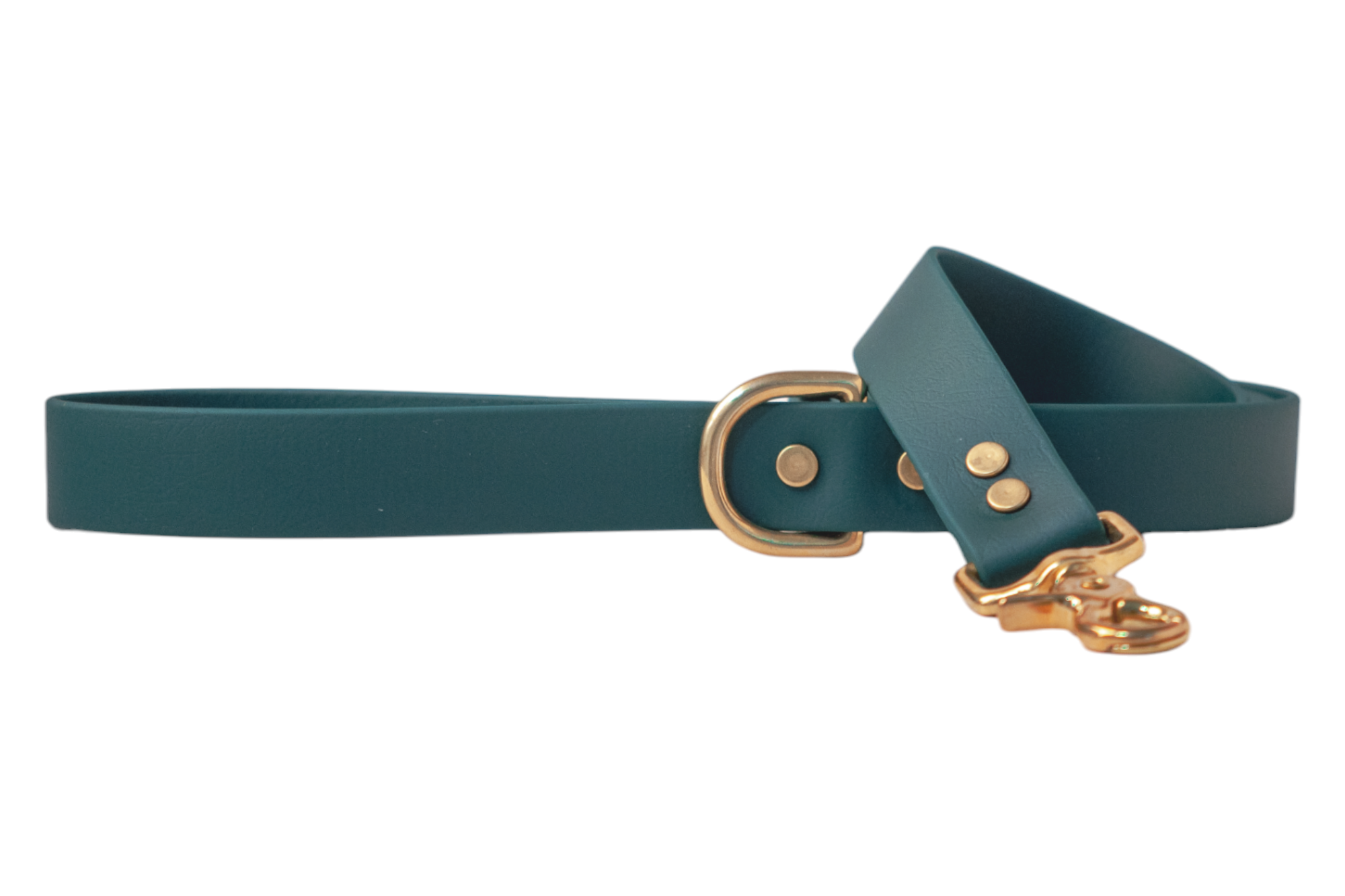 Hunter Green Biothane 5' Leash - Crew LaLa