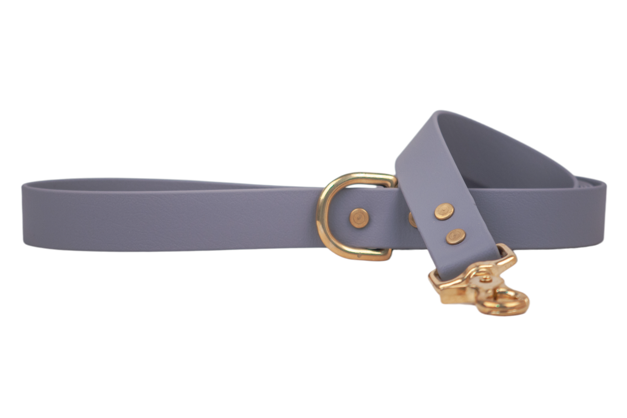 Slate Biothane 2' Traffic Leash - Crew LaLa