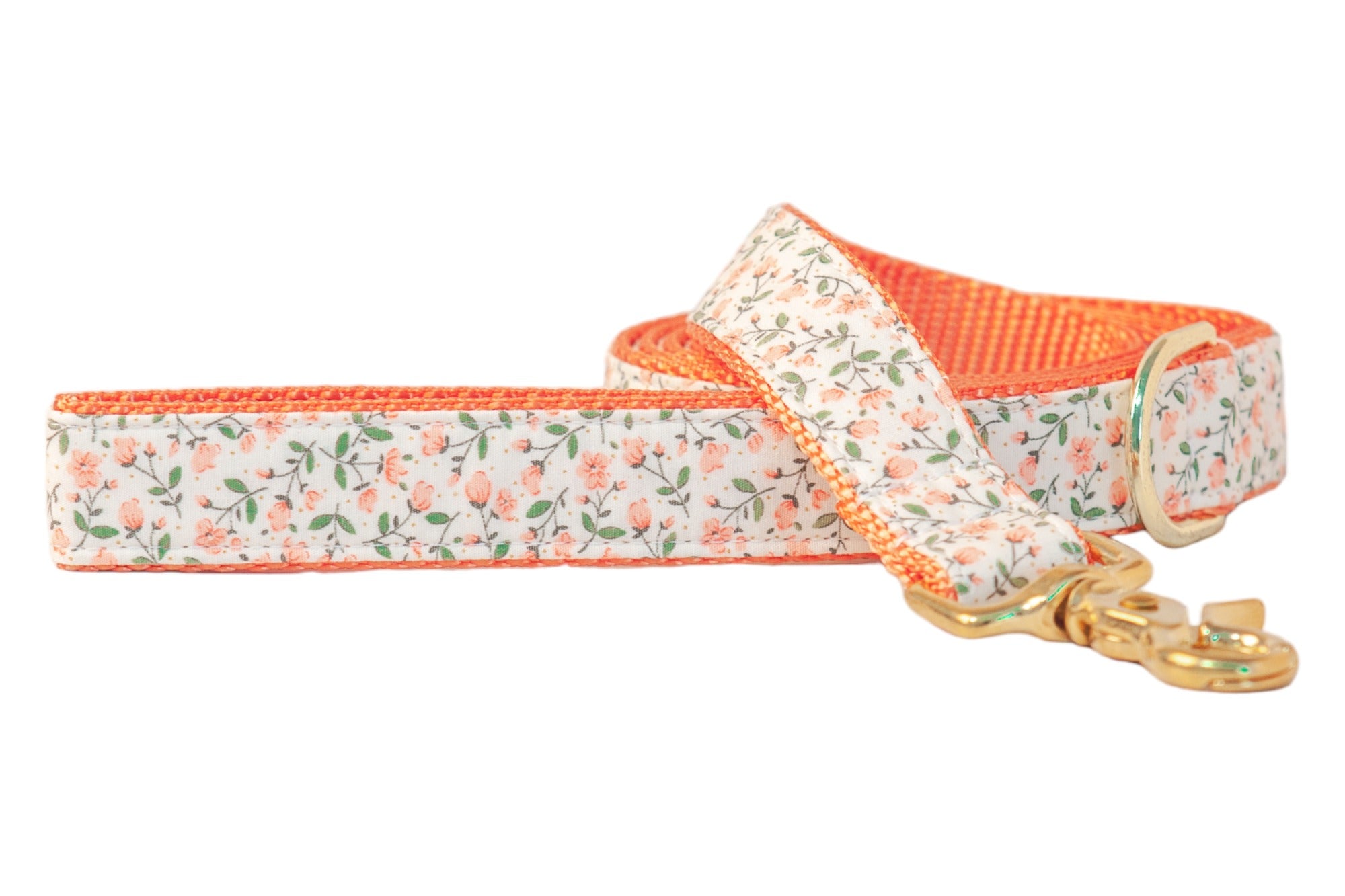 Canterbury Leash - Crew LaLa