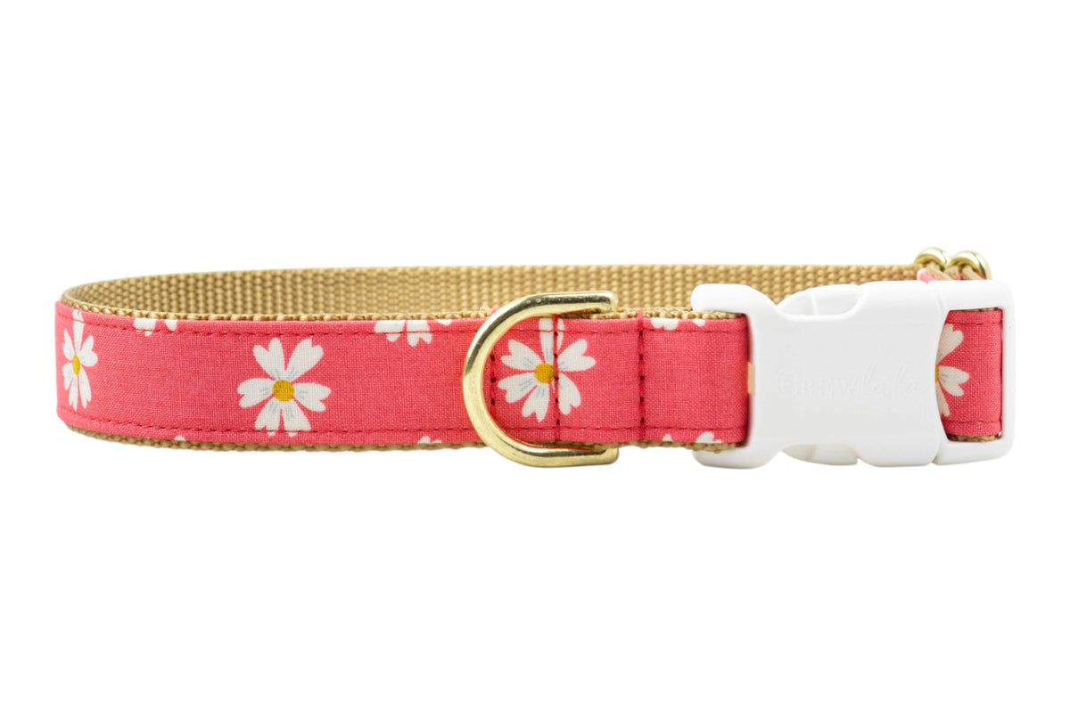 Coral Daisies Bow Tie Collar