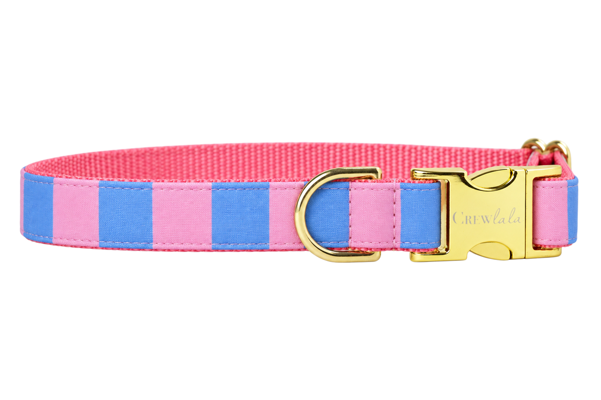 Plain Alfresco Stripe dog collar without the bow, made with bold pink and periwinkle blue wide stripes, lined with pink nylon webbing and gold hardware with a Crewlala logo buckle.