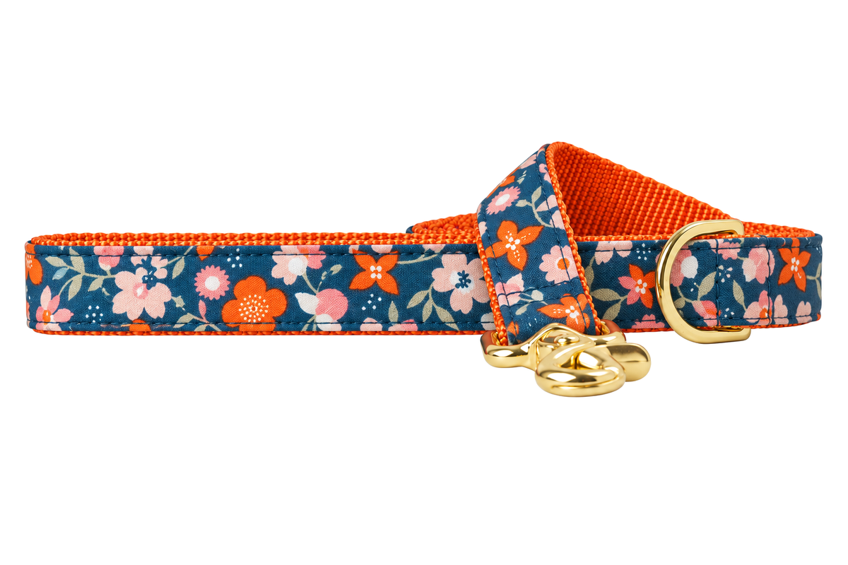 Amber Blossoms dog leash made with a dark teal blue floral print with blush pink and bright orange blossoms and small white dots, lined with bright orange nylon webbing, with a handle loop and a gold trigger clip.