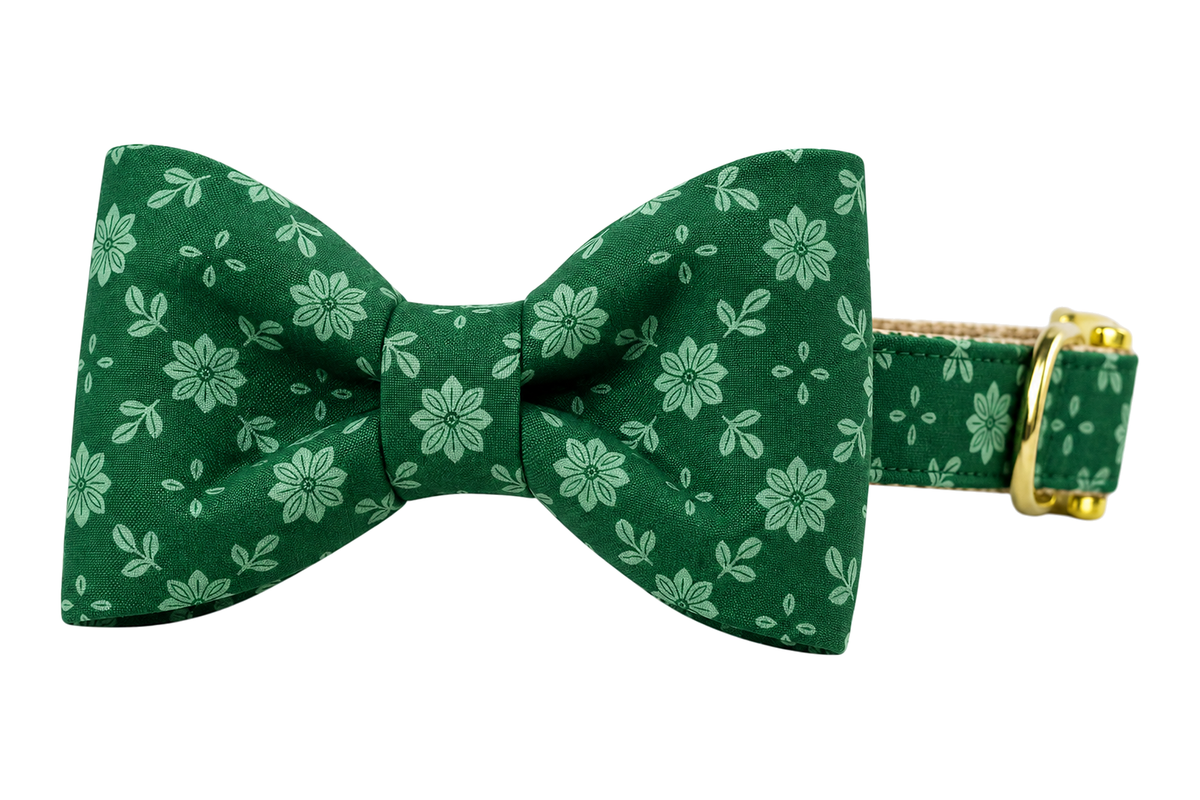 Classic dog collar featuring a Basil Blooms fabric bow tie, a deep forest green print with soft light green poinsettia flowers and leaves, attached to a matching Basil Blooms collar with a nylon inner lining and gleaming gold hardware, including a D-ring and buckle.