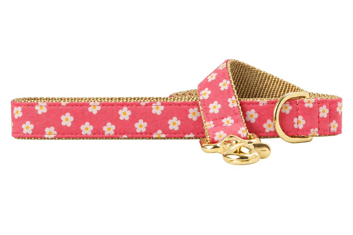 Berry Blooms dog leash made with a coral pink fabric with small cream five-petal flowers, lined with tan beige nylon webbing, with a handle loop and a gold trigger clip.