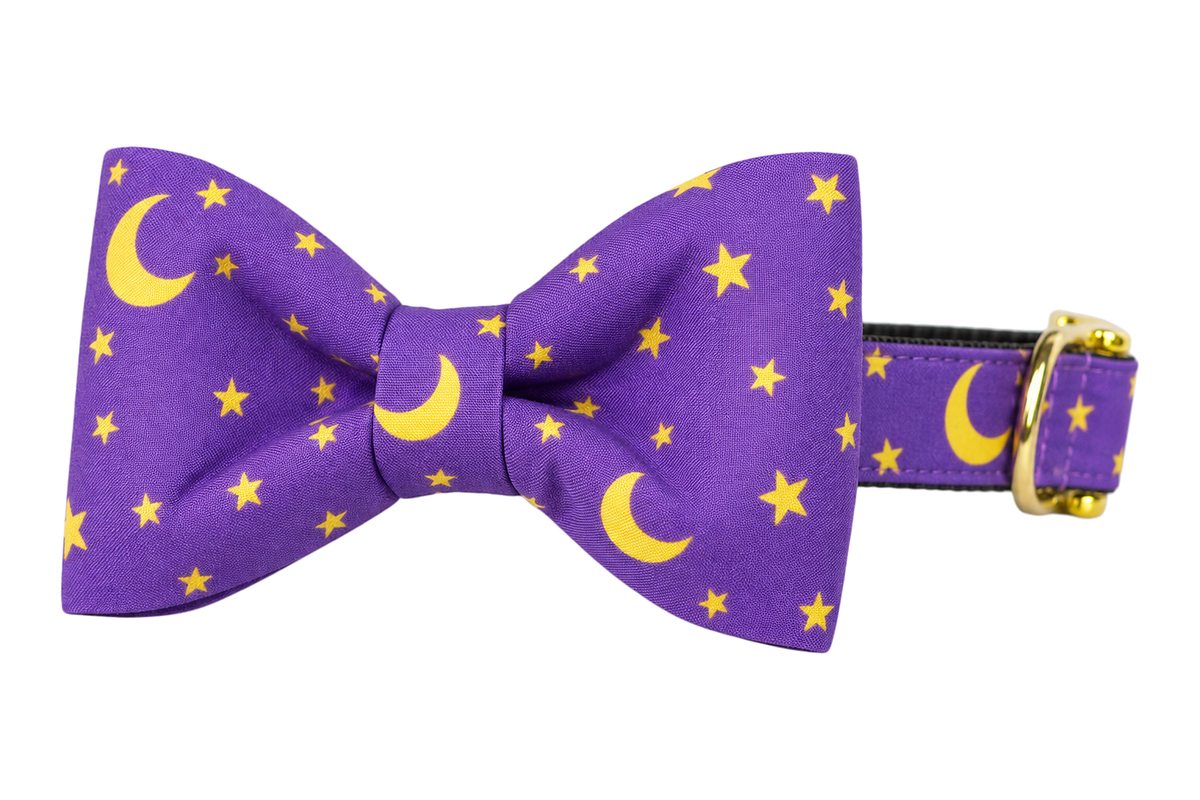Classic dog collar featuring a Bewitched fabric bow tie, a purple fabric with golden yellow crescent moons and small stars, attached to a matching Bewitched collar with a nylon inner lining and gleaming gold hardware, including a D-ring and buckle.