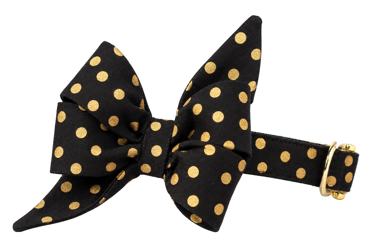 Dog collar featuring a large belle bow in Black Party Dot fabric, a black fabric with metallic gold polka dots, attached to a matching Black Party Dot collar with a nylon inner lining and gleaming gold hardware, including a D-ring and buckle.