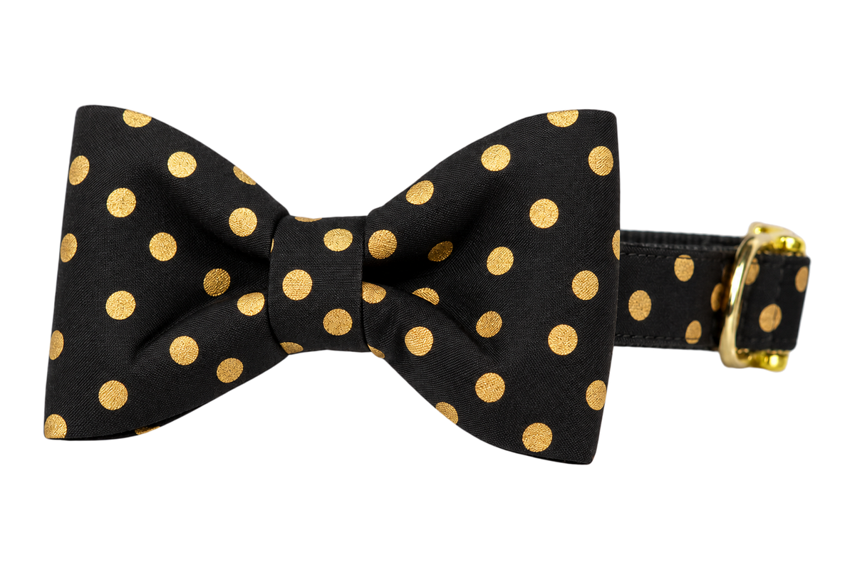 Classic dog collar featuring a Black Party Dot fabric bow tie, a black fabric with metallic gold polka dots, attached to a matching Black Party Dot collar with a nylon inner lining and gleaming gold hardware, including a D-ring and buckle.