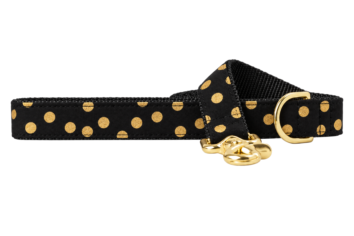 Black Party Dot dog leash made with a black fabric with metallic gold polka dots, lined with black nylon webbing, with a handle loop and a gold trigger clip.