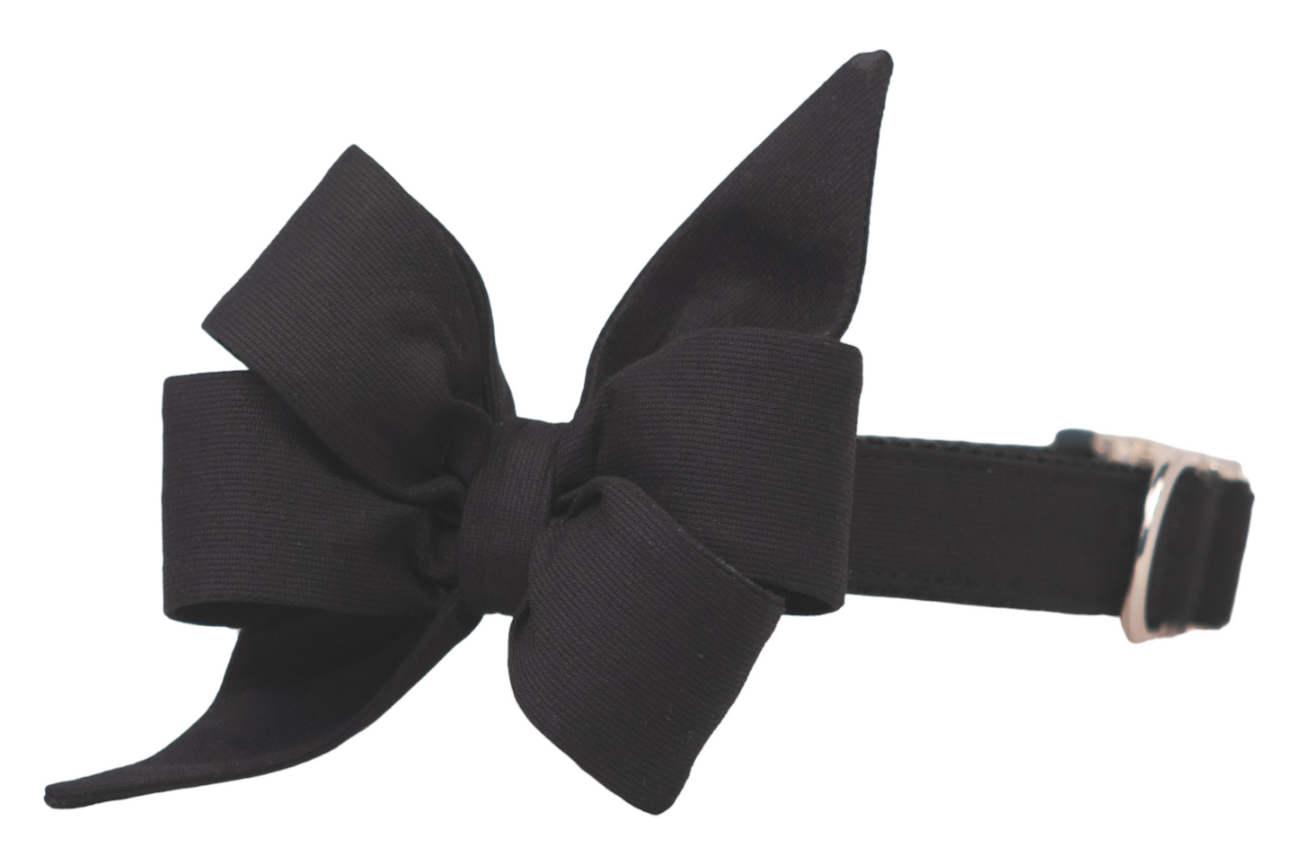 Elegant black dog collar with an oversized, structured feminine belle bow that has upward-pointing tails and voluminous loops and accented with silver hardware.