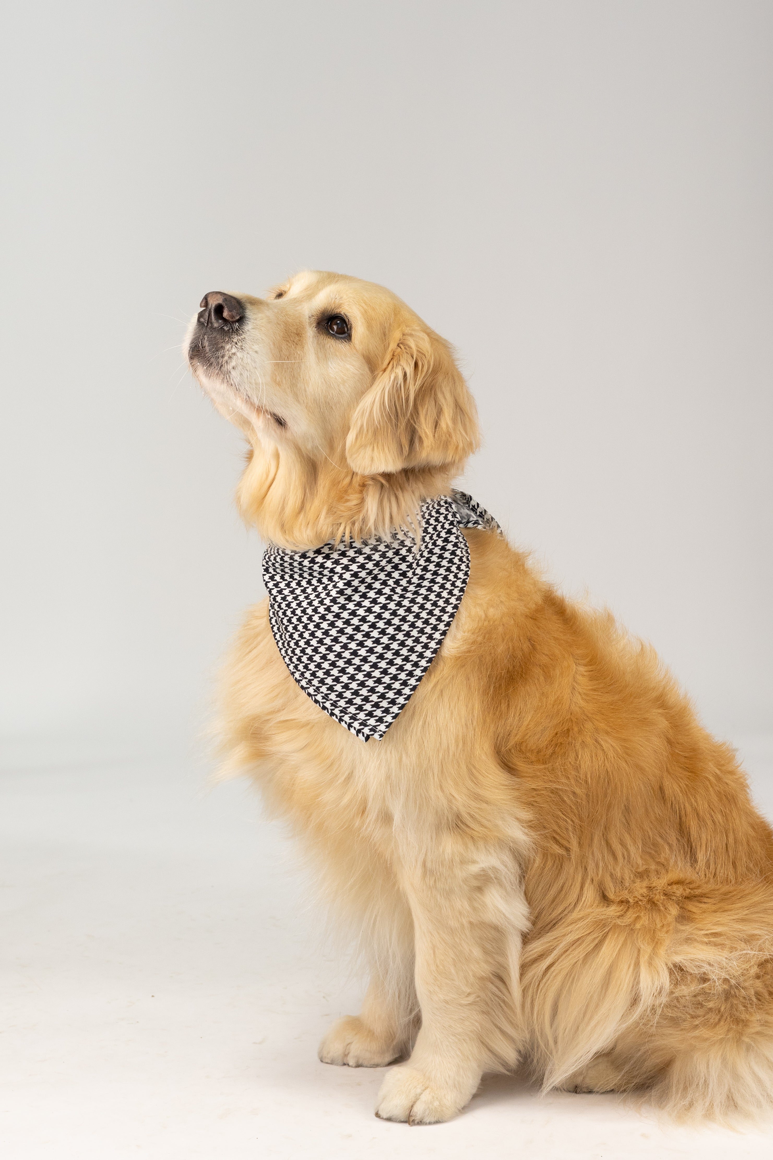 Stylish dog bandana in a bold black & white houndstooth pattern, tied comfortably around the neck and designed to add a timeless, fashion-forward touch to any pup’s outfit.