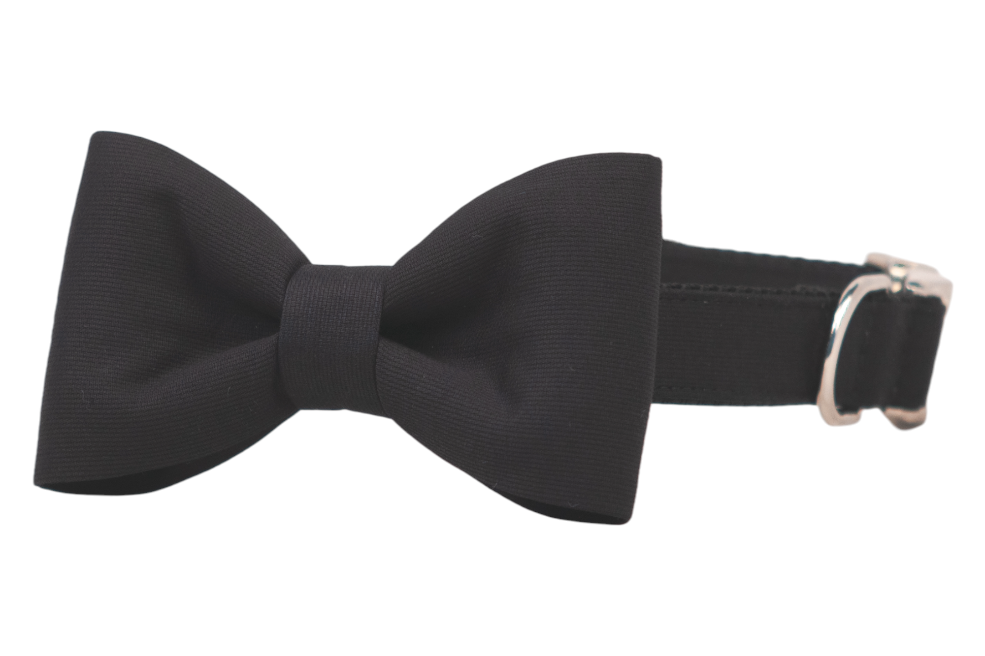 A classic black bow tie attached to a matching adjustable dog collar with silver hardware, designed for pets and displayed against a white background.