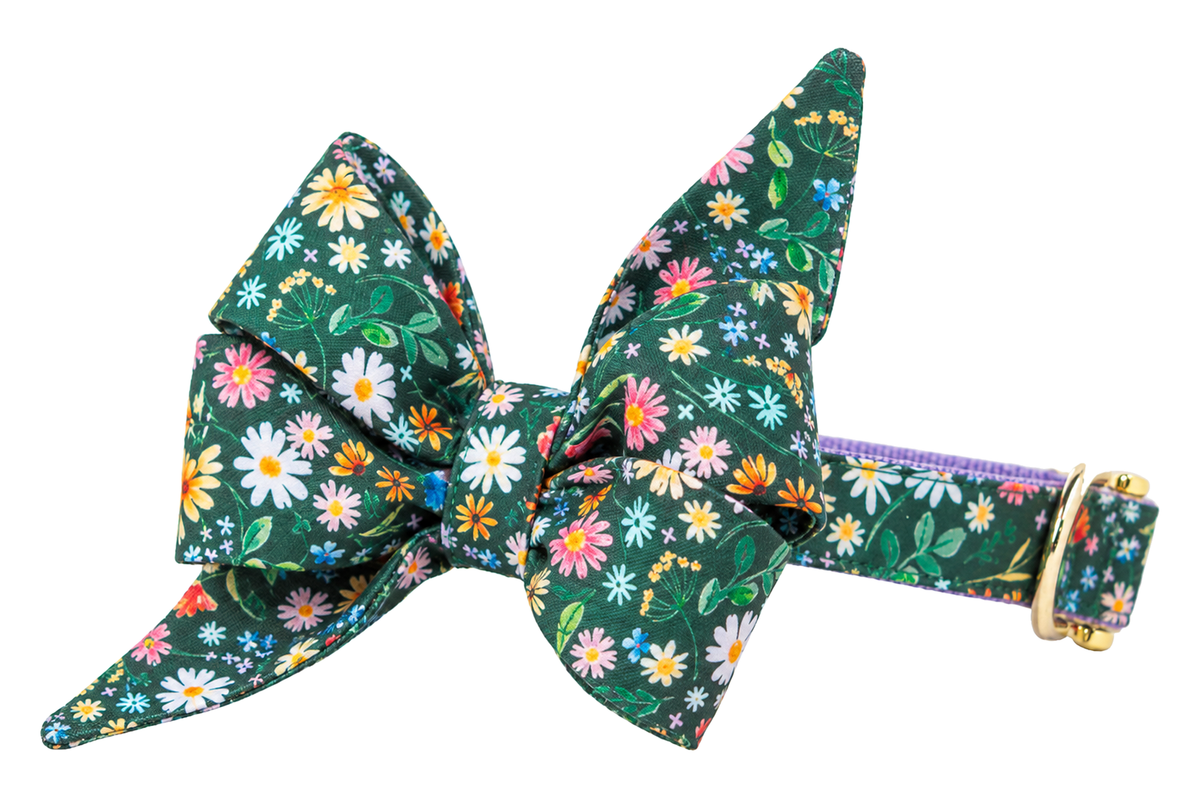 Dog collar featuring a large belle bow in Bloom Time fabric, a deep forest green print with small white daisies and colorful pink, yellow, orange and lavender wildflowers, attached to a matching Bloom Time collar with a nylon inner lining and gleaming gold hardware, including a D-ring and buckle.