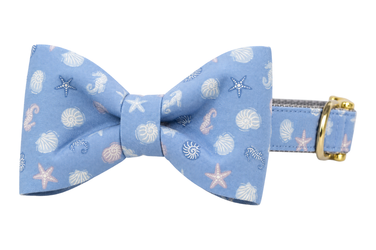 Classic dog collar featuring a Blue Sea Shells fabric bow tie, a periwinkle blue fabric with small white seashells and starfish, attached to a matching Blue Sea Shells collar with a nylon inner lining and gleaming gold hardware, including a D-ring and buckle.