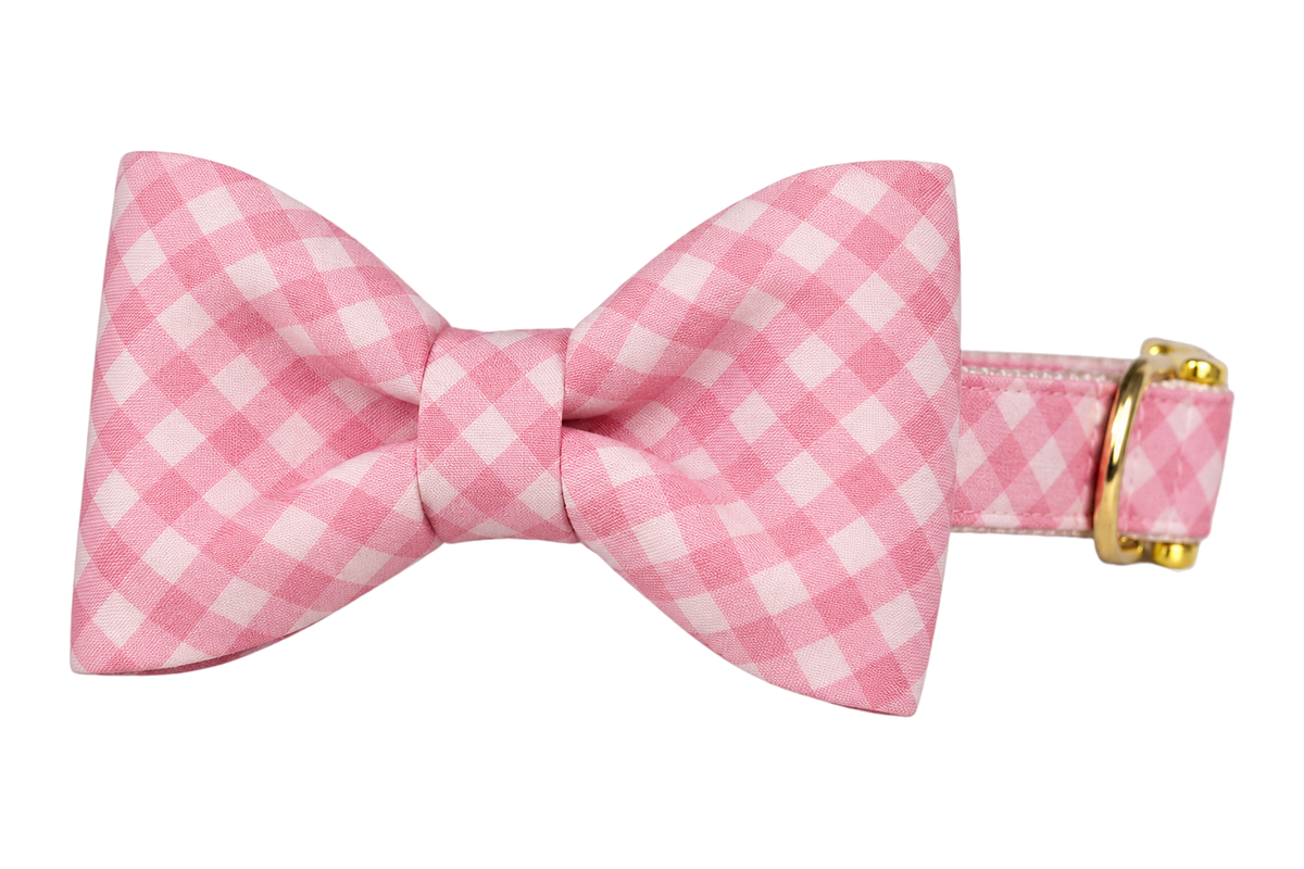 Classic dog collar featuring a Blush and Bashful Picnic Plaid fabric bow tie, a soft blush pink and white gingham check, attached to a matching Blush and Bashful Picnic Plaid collar with a nylon inner lining and gleaming gold hardware, including a D-ring and buckle.