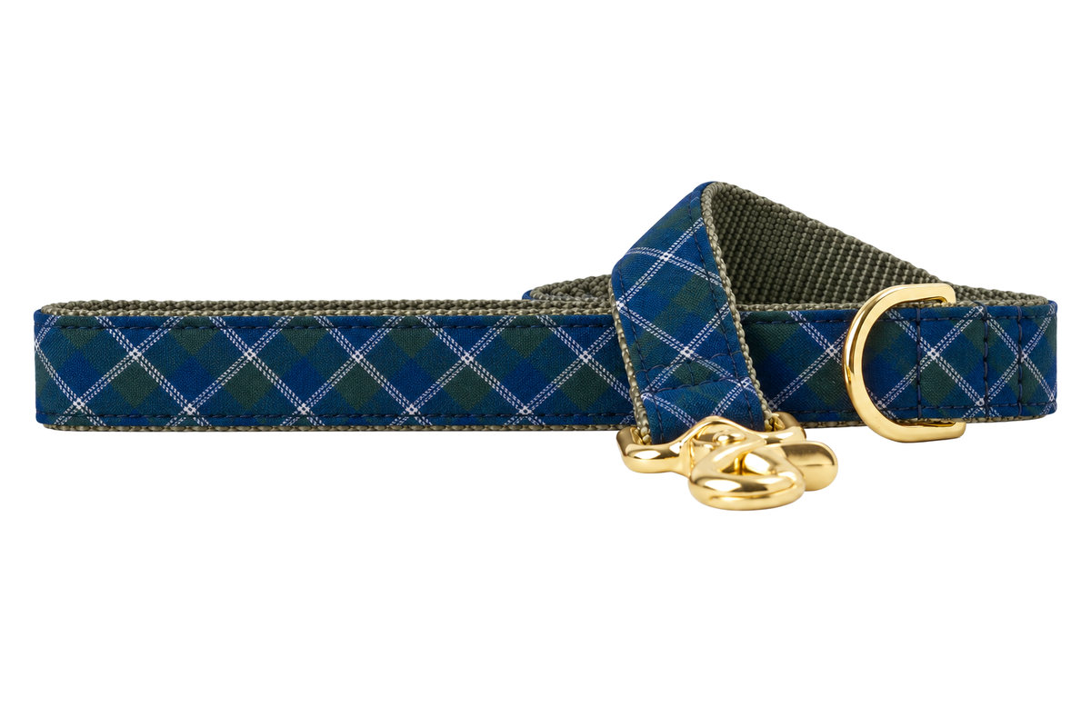 Book Club dog leash made with a navy blue tartan with thin green and white windowpane lines, lined with olive gray nylon webbing, with a handle loop and a gold trigger clip.