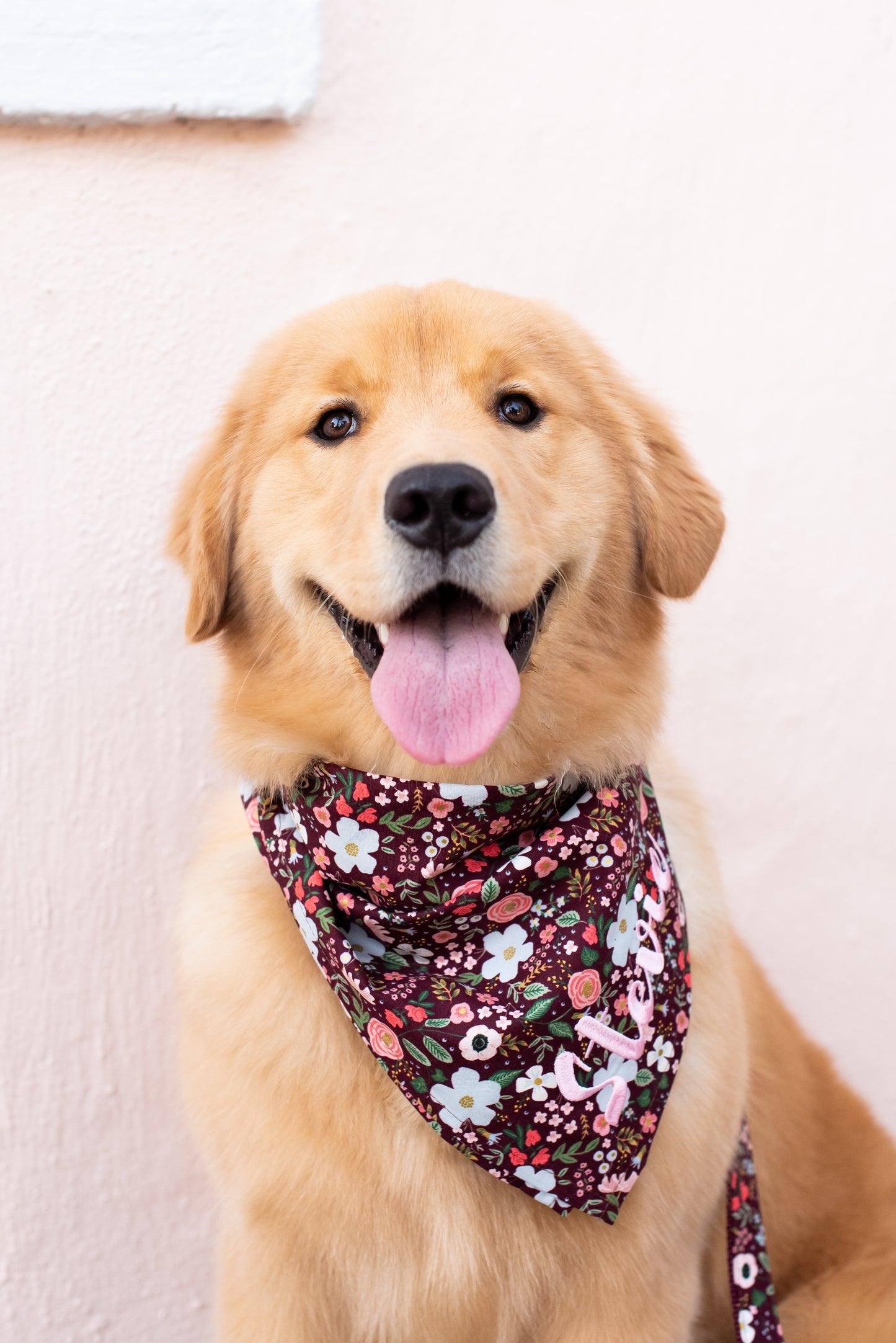 Fluffy retriever with a cheerful expression, wearing a deep burgundy floral bandana adorned with colorful blooms and custom embroidery, sitting against a light pastel background.