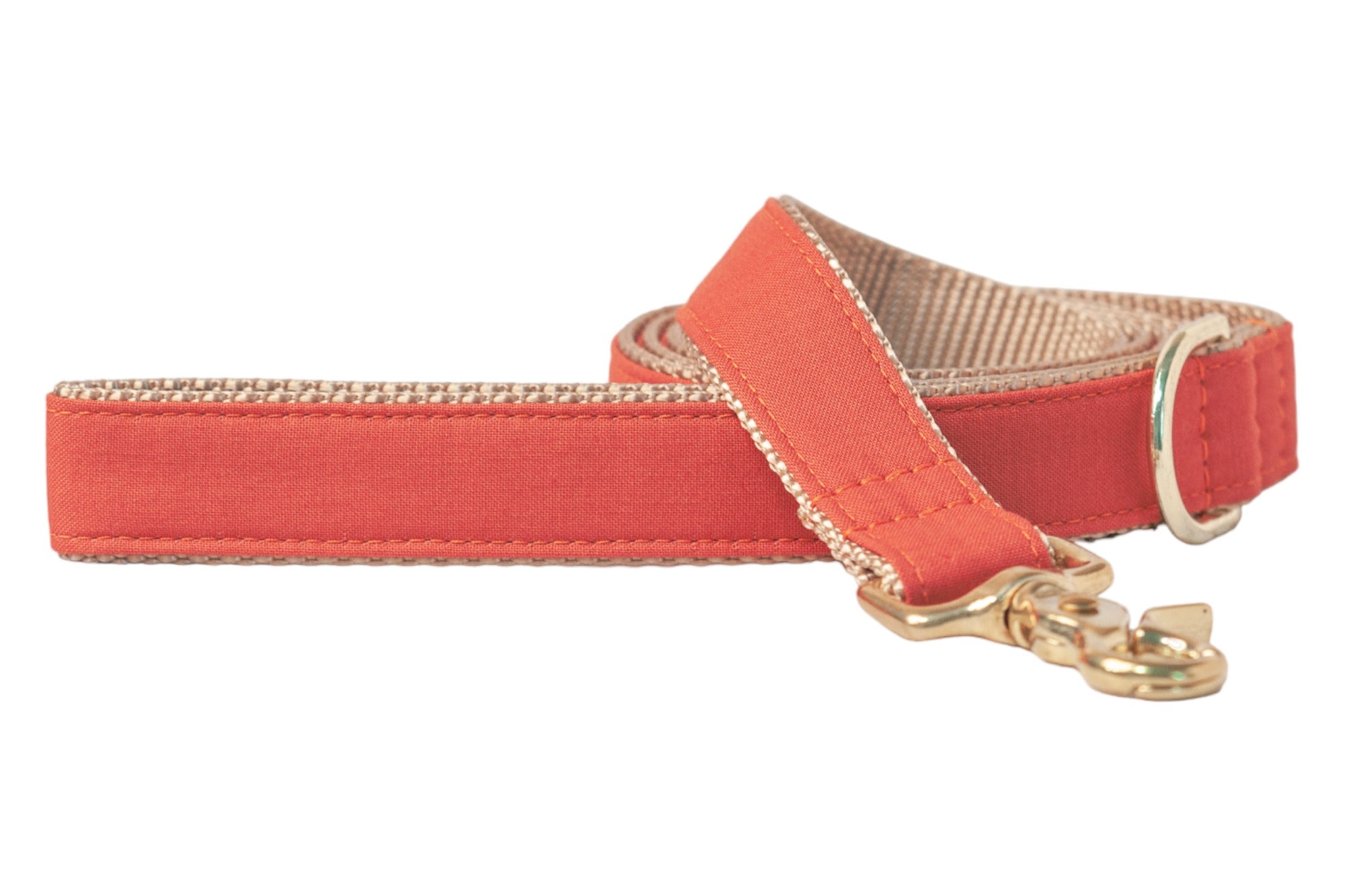 Burnt orange dog leash with polished hardware, a fall-inspired accessory that’s perfect for autumn walks and Halloween outings