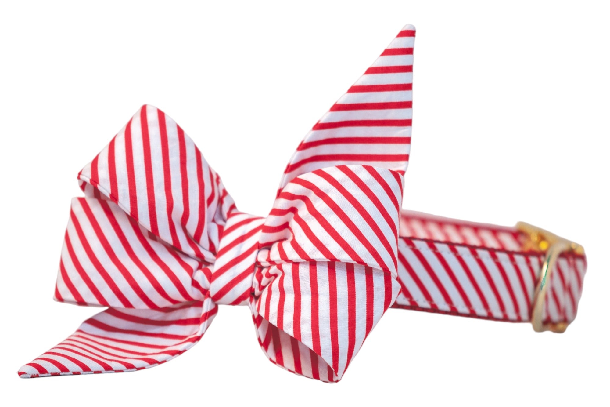 A holiday-ready dog collar with a large red  striped belle bow in a candy cane pattern, paired with shiny hardware. The oversized bow adds festive flair, perfect for Christmas photos or winter walks.