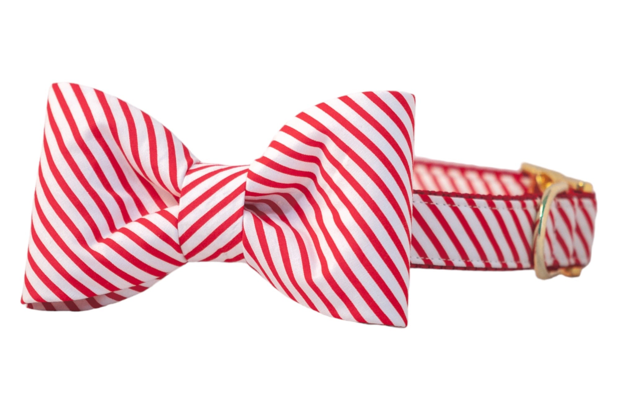 A holiday dog collar with a crisp red and striped bow tie in a candy cane pattern. The structured bow is attached to a matching collar with shiny hardware, perfect for Christmas photos and festive walks.