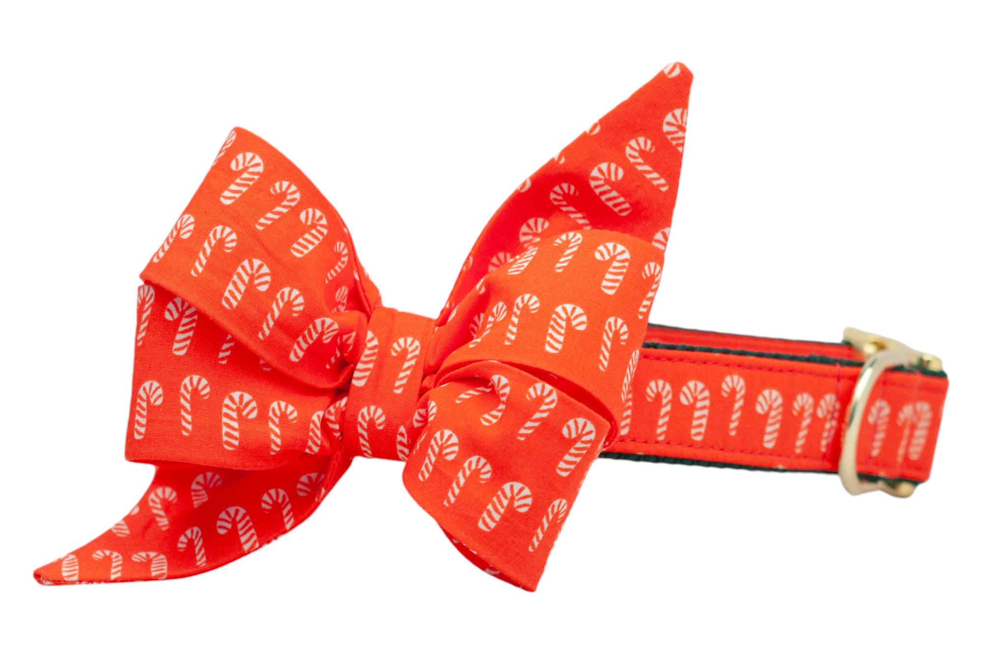 Christmas dog collar with an attached classic bow tie, both made from bright red fabric with candy canes. The bow tie has exaggerated loops and long trailing points, giving it a bold, festive flair. The matching collar features polished hardware.