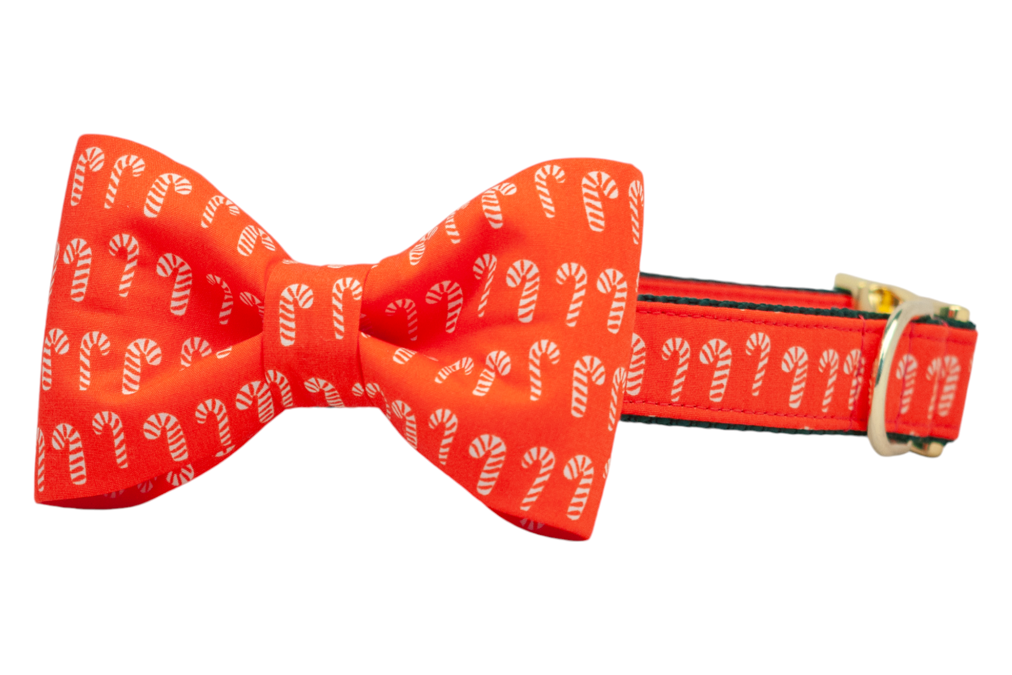 Dog collar with an attached bow tie in a coordinating red fabric adorned with candy cane illustrations. The structured bow adds a festive flair, while the collar has polished hardware, making it ideal for seasonal celebrations.