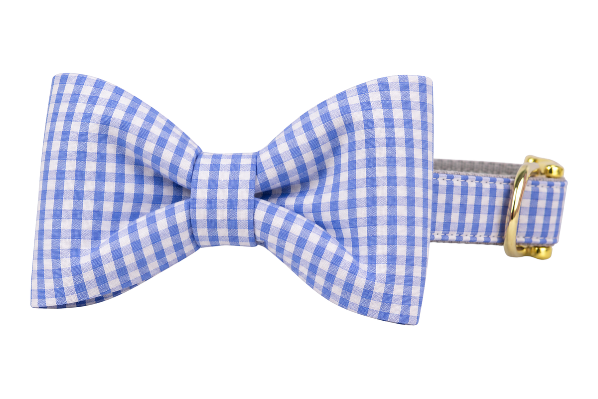 Classic dog collar featuring a Coastal Gingham fabric bow tie, a periwinkle blue and white seersucker gingham check, attached to a matching Coastal Gingham collar with a nylon inner lining and gleaming gold hardware, including a D-ring and buckle.