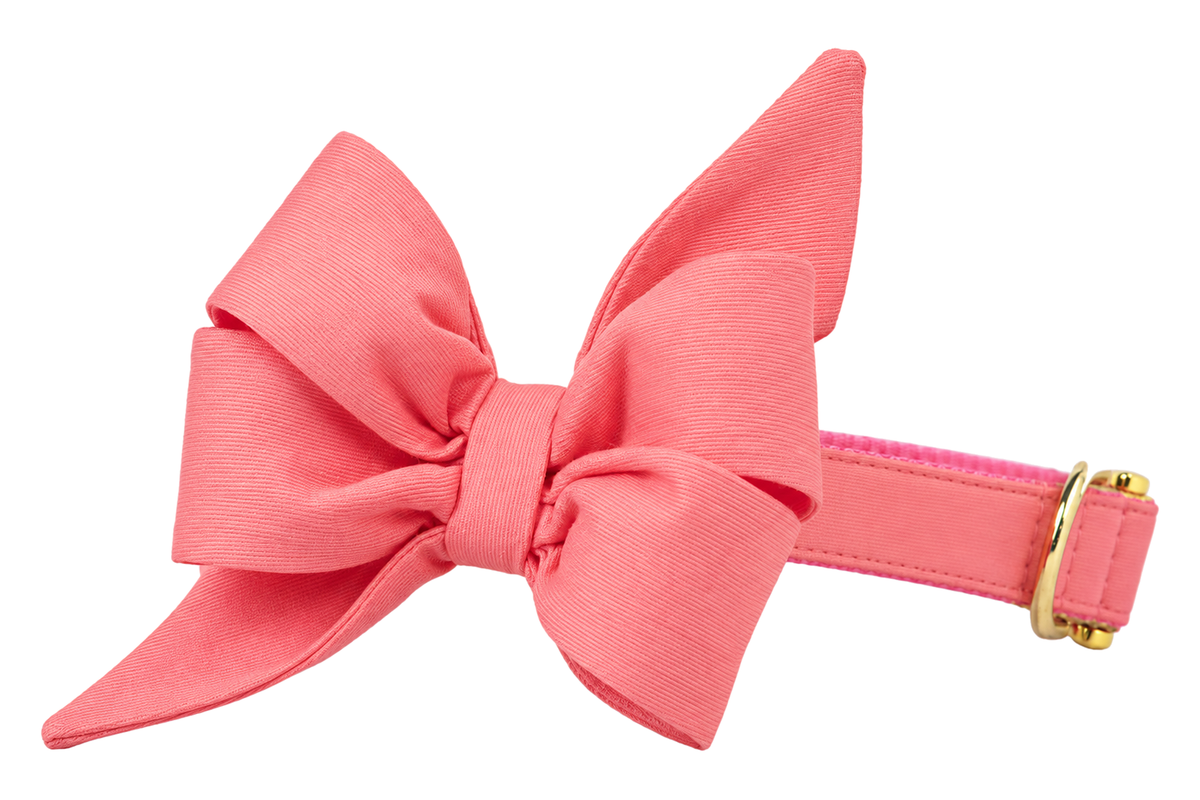 Dog collar featuring a large belle bow in Coral fabric, a solid coral pink, attached to a matching Coral collar with a nylon inner lining and gleaming gold hardware, including a D-ring and buckle.