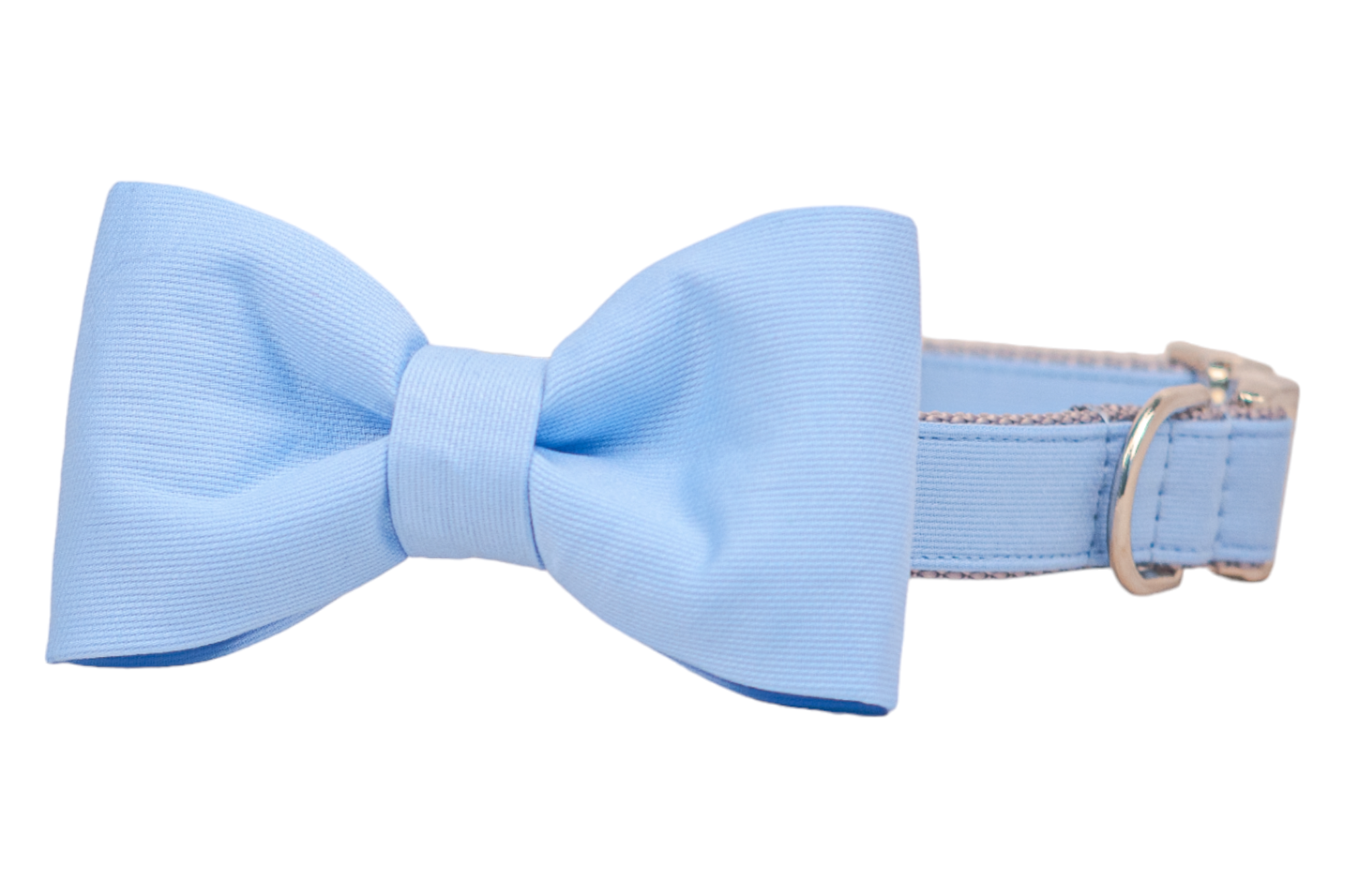 Simple and stylish dog collar in soft light blue, paired with a matching bow tie and silver hardware, offering a polished and classic look.