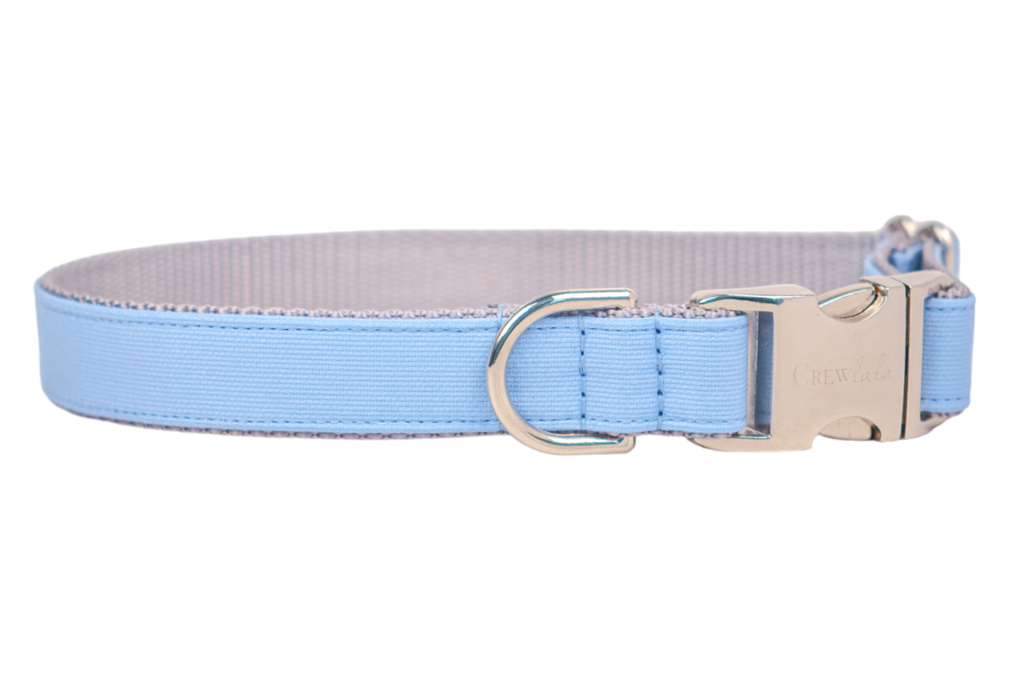 Modern dog collar in soft sky blue with polished silver hardware, designed for both comfort and elegance with a clean, understated aesthetic.