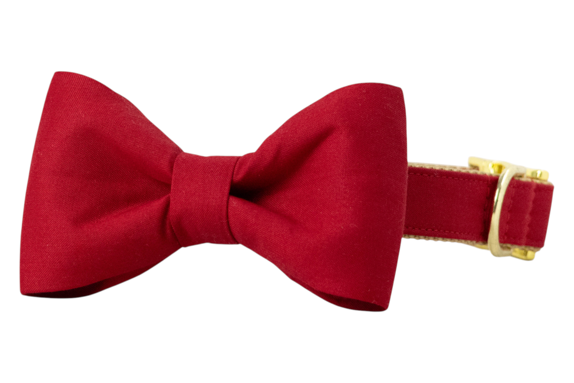 Classic dog collar featuring a solid red fabric bow tie, attached to a matching red collar with a nylon inner lining and gleaming hardware, including a D-ring and buckle.