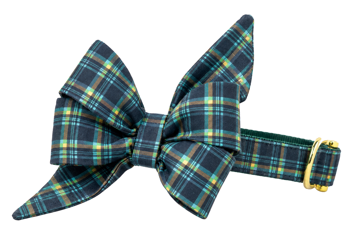 Dog collar featuring a large belle bow in Cypress Plaid fabric, a dark slate navy and forest green plaid with thin pale yellow and light blue lines, attached to a matching Cypress Plaid collar with a nylon inner lining and gleaming gold hardware, including a D-ring and buckle.