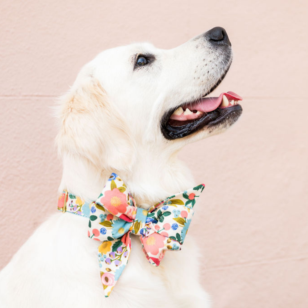 Side profile of a happy dog wearing a decorative collar with an oversized belle bow. The fabric showcases a vibrant floral pattern with warm and cool tones, and the dog appears joyful against a soft pastel background.