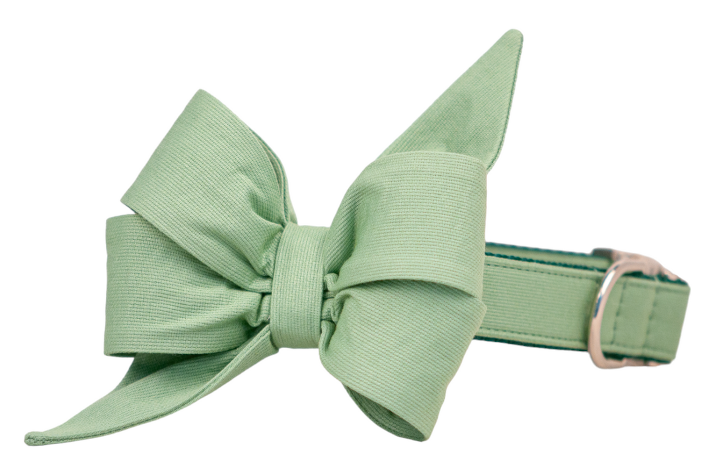 Soft green dog collar with an oversized matching belle bow, made from ribbed fabric with a subtle texture. The belle bow features structured loops and two long, pointed tails, attached to a solid-colored matching collar with silver hardware.