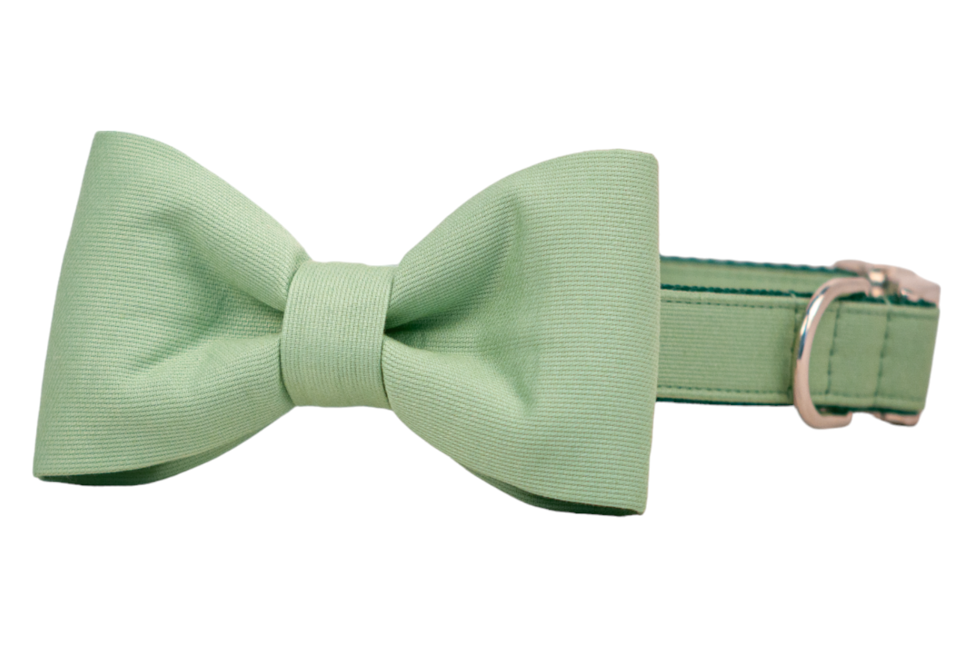 A stylish soft green dog collar with an attached matching bow tie made from the same fabric. The bow is symmetrically shaped with subtle texture, and the collar includes a metal D-ring and a shiny buckle, blending function with a formal, dapper look.