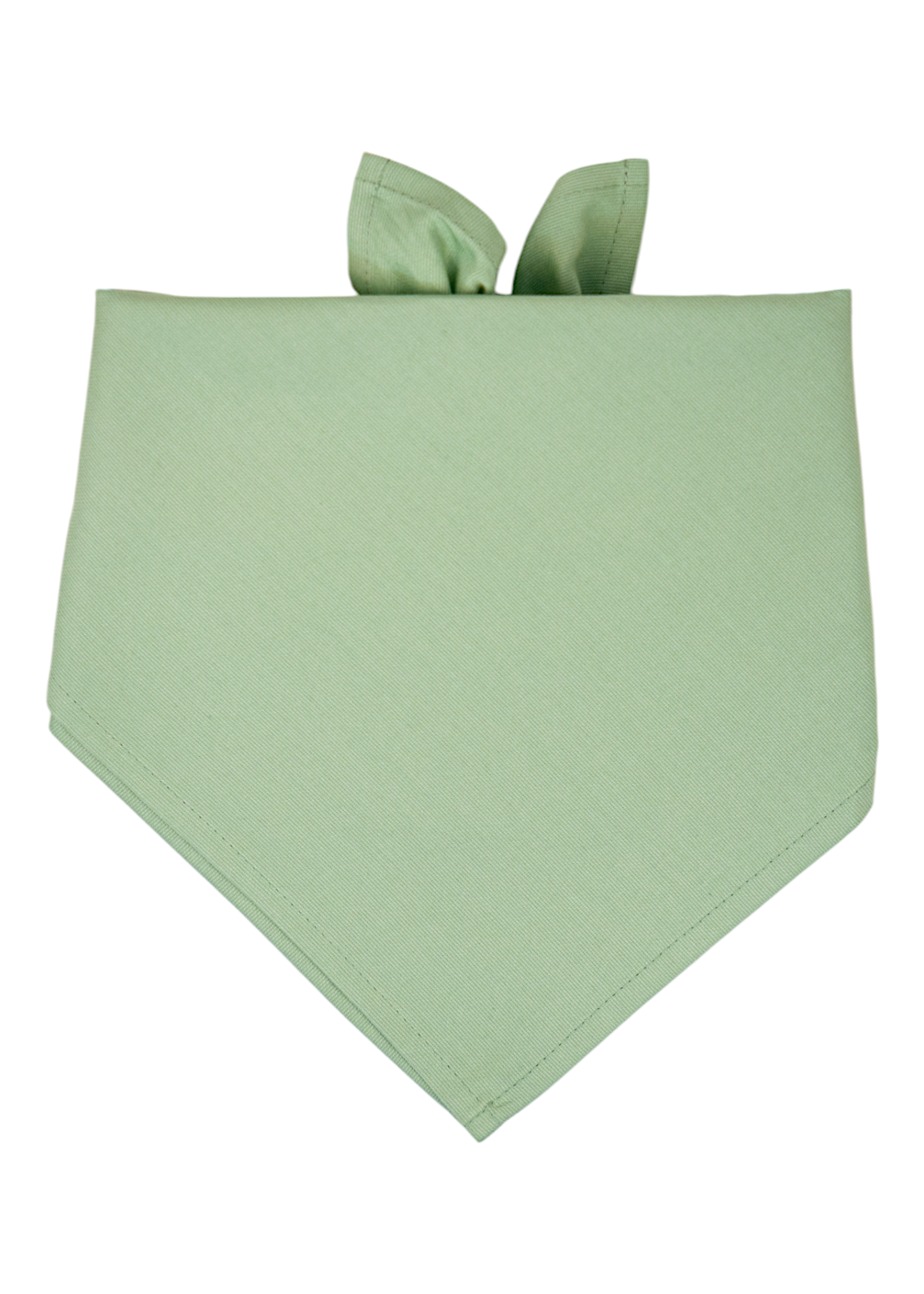 A soft green, cotton bandana designed for dogs, displayed folded flat with clean stitched edges and soft fabric texture. The top of the bandana is tied in a small knot, with two short tails peeking upward.