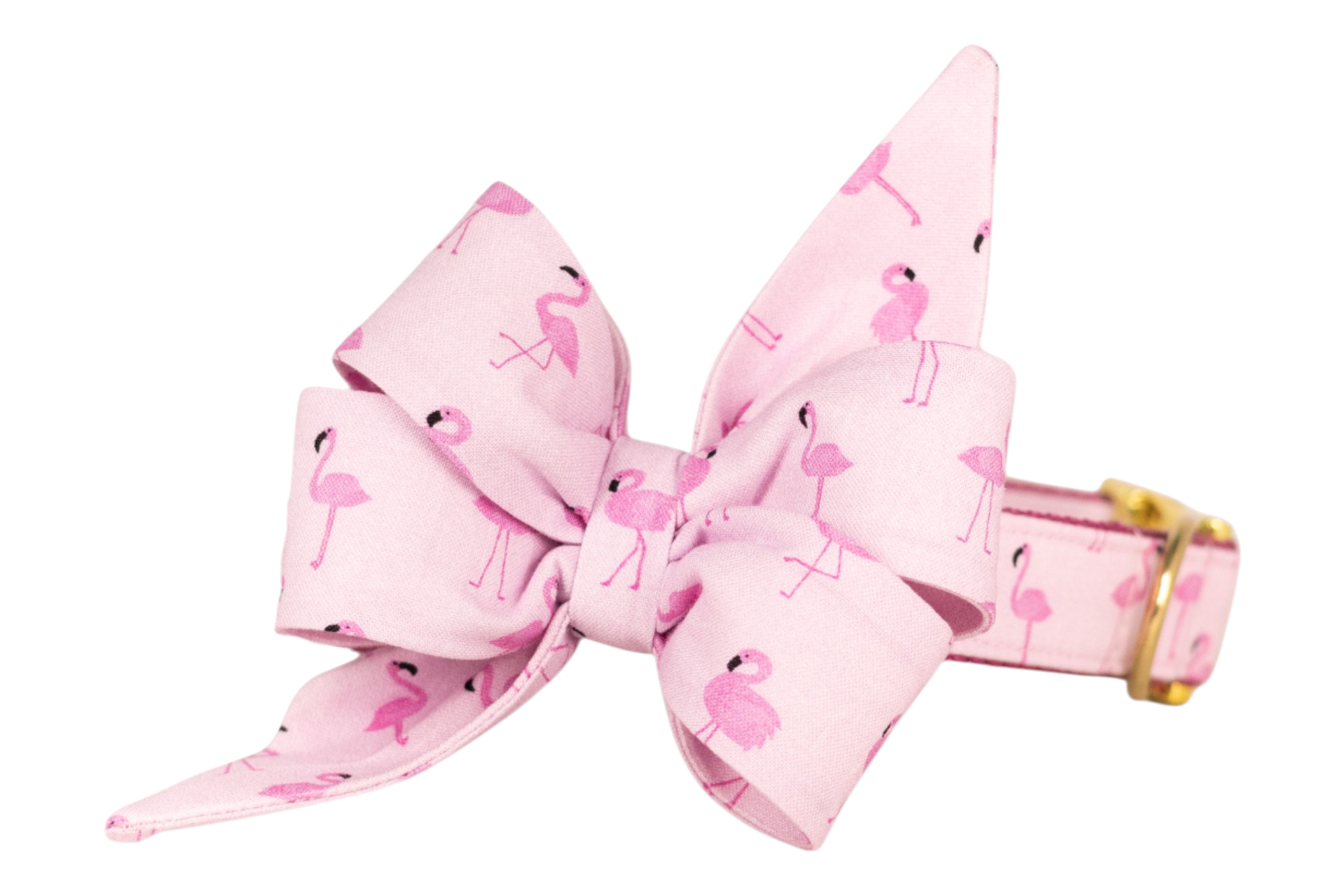 A light pink dog collar with a large belle bow, featuring a vibrant flamingo print in various poses. The collar is secured with a polished gold-toned buckle.