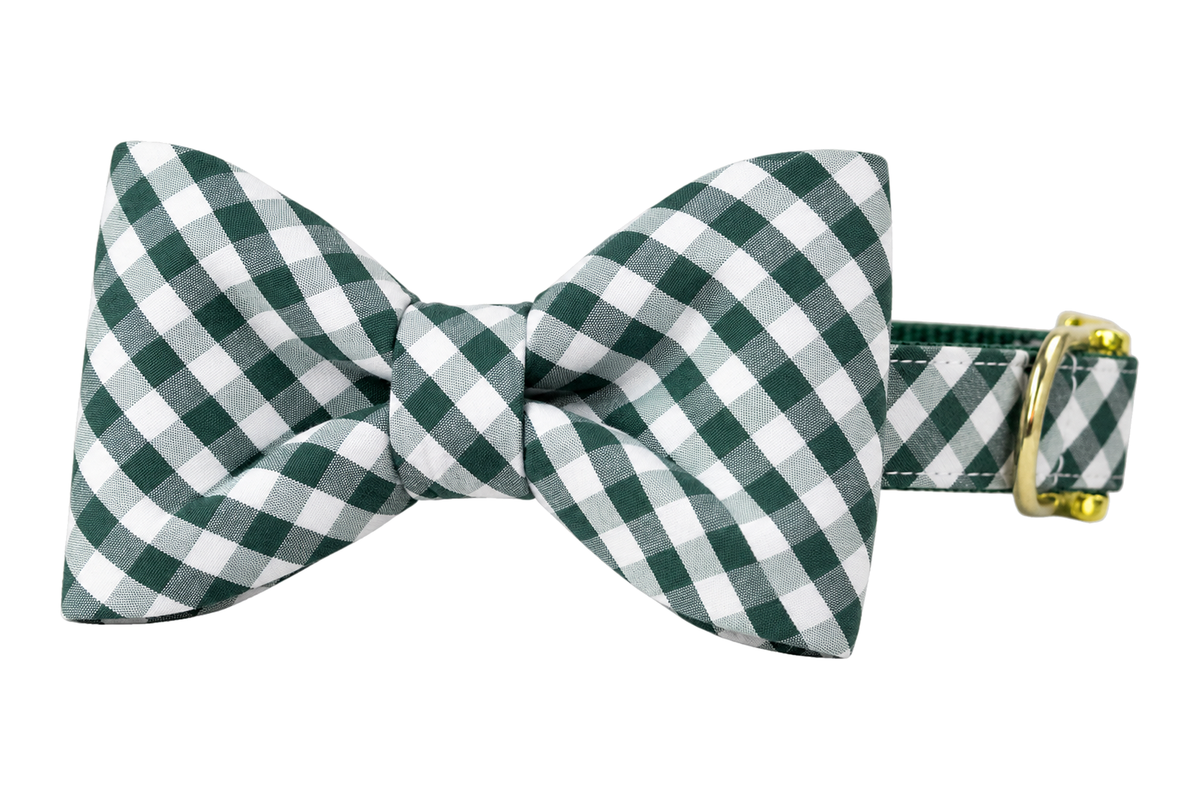 Classic dog collar featuring a Forest Green Picnic Plaid fabric bow tie, a crisp forest green and white gingham check, attached to a matching Forest Green Picnic Plaid collar with a nylon inner lining and gleaming gold hardware, including a D-ring and buckle.