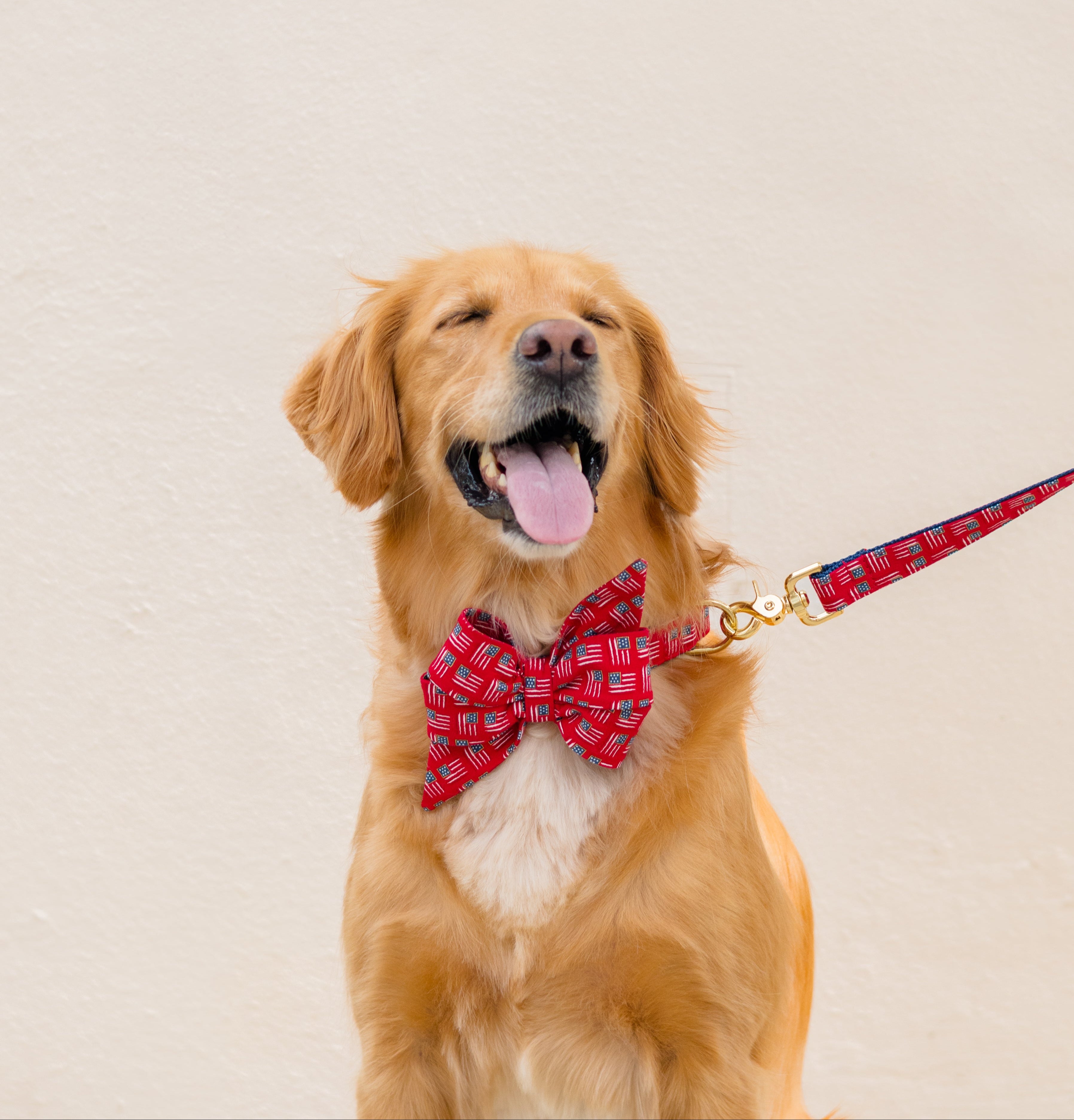 A retriever radiates joy in a red American flag belle bow collar set and coordinating leash, posed against a soft pale backdrop. A fun, patriotic accessory set designed for Fourth of July, Memorial Day, or year-round Americana vibes.