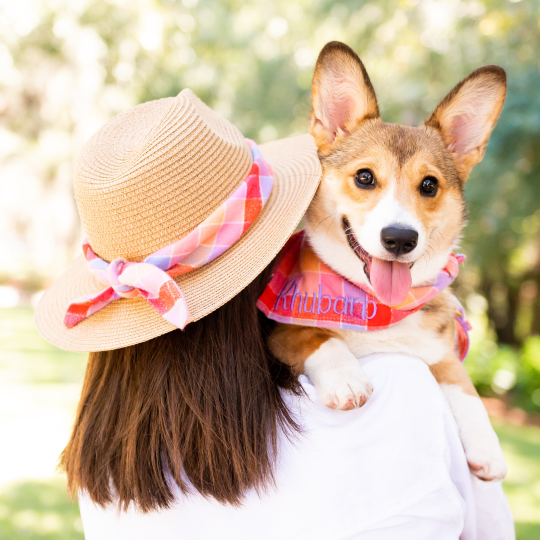 Smiling corgi with its tongue out is held by a woman in a straw hat. The dog wears a personalized bandana with a fall plaid design and the name “Rhubarb” stitched on it. The woman’s straw sunhat is accented with a matching fabric tie, creating a coordinated look against a bright, natural background.