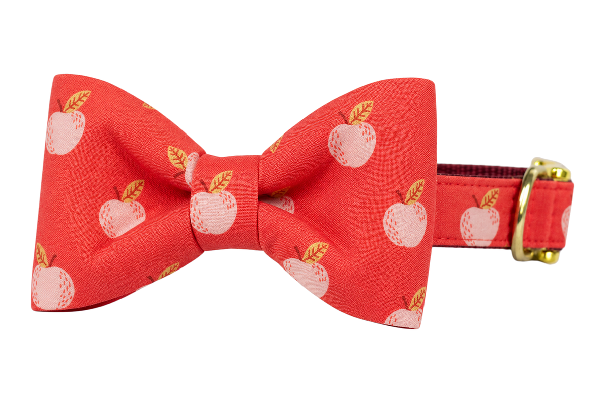 Classic dog collar featuring a Gala Apples fabric bow tie, a coral red fabric with soft pink apples, attached to a matching Gala Apples collar with a nylon inner lining and gleaming gold hardware, including a D-ring and buckle.