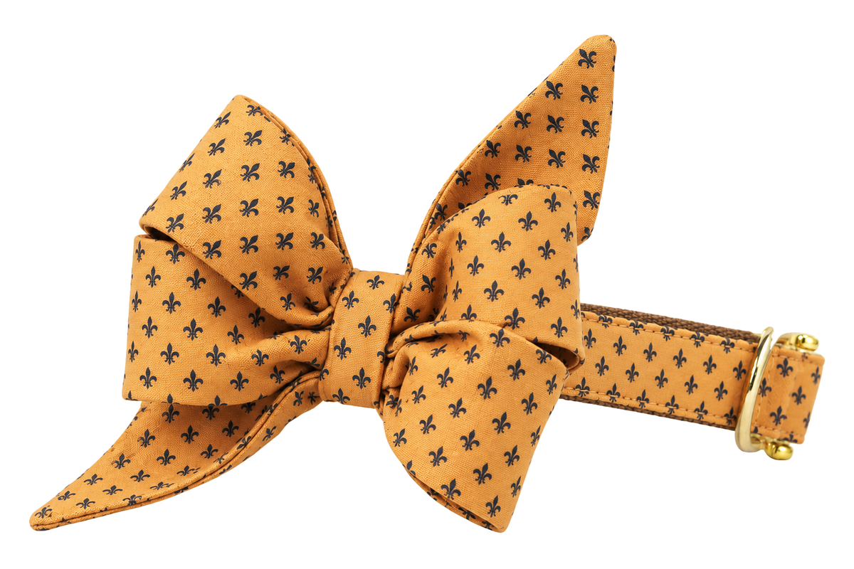 Dog collar featuring a large belle bow in Golden Fleur-De-Lis fabric, a golden orange fabric with small navy fleur-de-lis cross motifs, attached to a matching Golden Fleur-De-Lis collar with a nylon inner lining and gleaming gold hardware, including a D-ring and buckle.