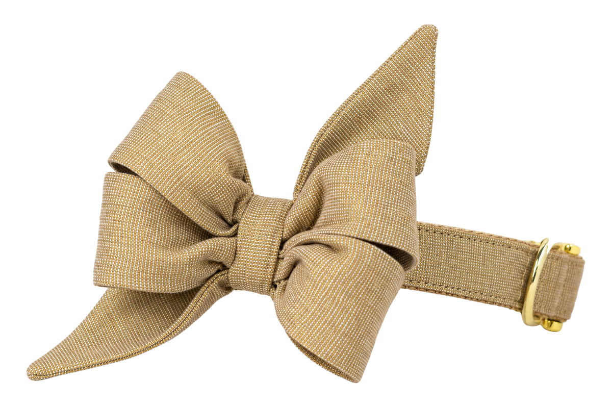 Dog collar featuring a large belle bow in Golden Glitter fabric, a solid gold metallic shimmer linen with a fine woven texture, attached to a matching Golden Glitter collar with a nylon inner lining and gleaming gold hardware, including a D-ring and buckle.