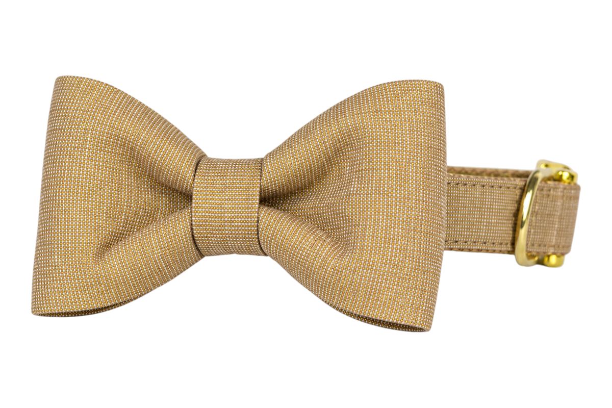 Classic dog collar featuring a Golden Glitter fabric bow tie, a solid gold metallic shimmer linen with a fine woven texture, attached to a matching Golden Glitter collar with a nylon inner lining and gleaming gold hardware, including a D-ring and buckle.