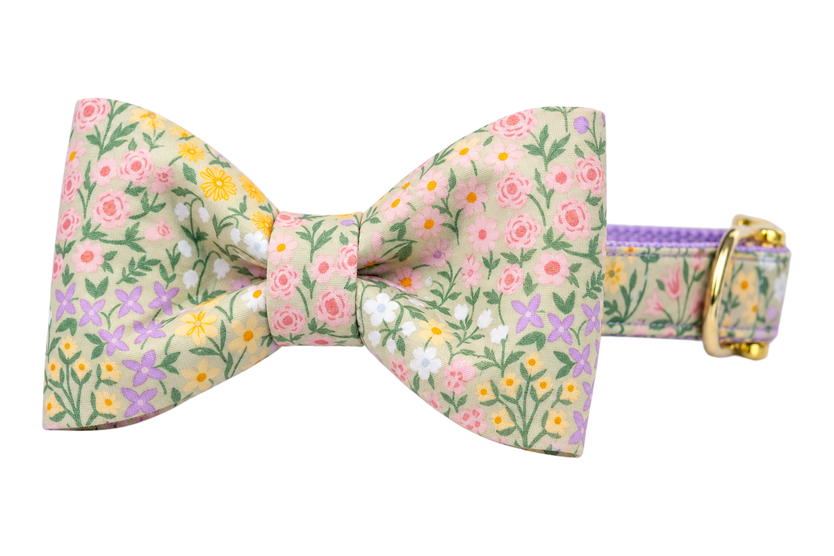 Classic dog collar featuring a Green Meadow fabric bow tie, a soft tan blush print with yellow, white and lavender wildflowers and sage green leaves, attached to a matching Green Meadow collar with a nylon inner lining and gleaming gold hardware, including a D-ring and buckle.