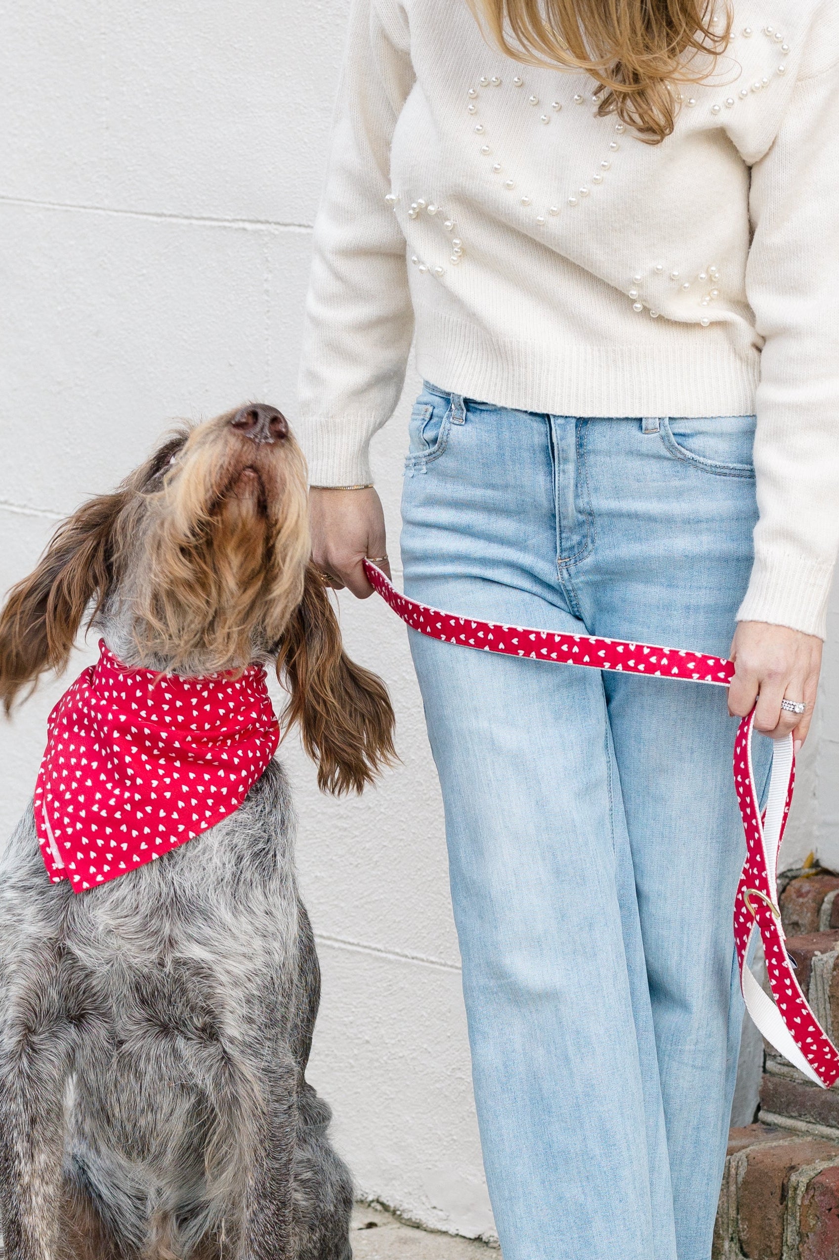 Dog in a Valentine’s-themed red bandana and coordinating leash featuring a scattered tiny heart pattern, gazing affectionately at the person holding the matching leash.