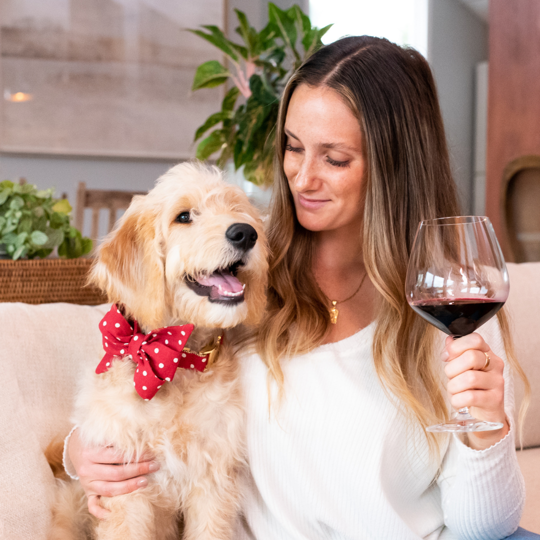A cheerful doodle-mix dog, dressed to impress in a red polka dot belle bow collar, sits proudly on a couch while a woman beside him smiles warmly and lifts a glass of red wine in a cozy, plant-filled living room.