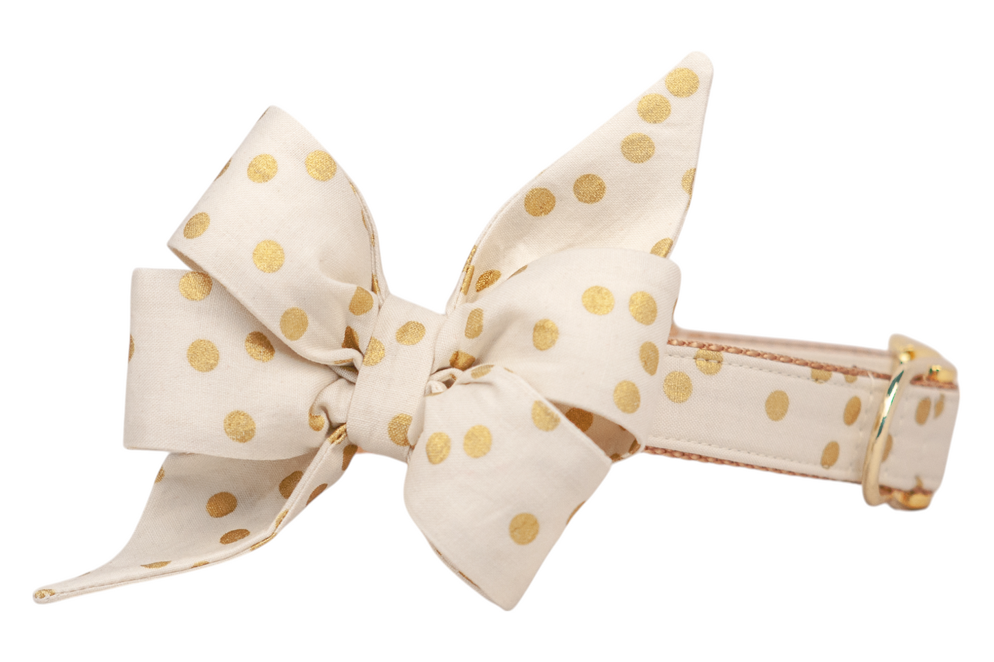 Ivory dog collar with an attached oversized belle bow made of matching fabric. Both the collar and the belle bow are covered in shiny polka dots, creating a coordinated and eye-catching design. The belle bow has crisp folds for a structured shape, while the collar is finished with detailed stitching and metal hardware.