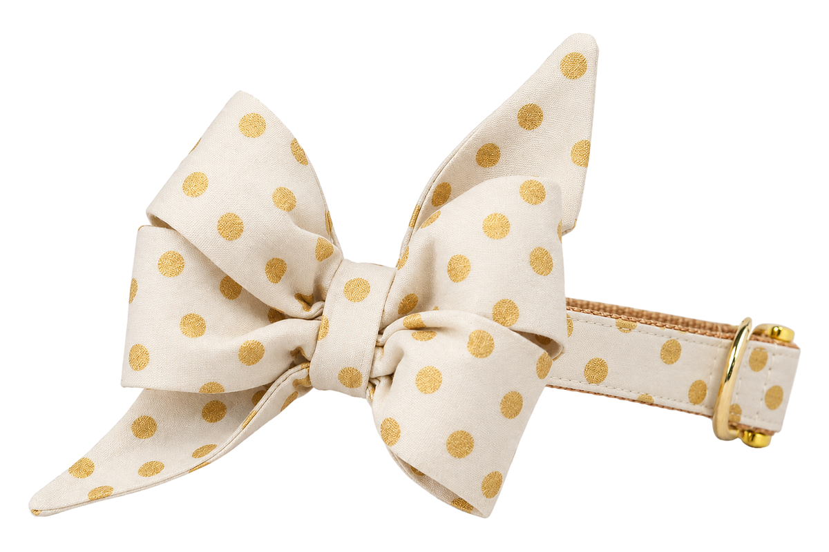 Dog collar featuring a large belle bow in Ivory Party Dot fabric, an ivory cream fabric with metallic gold polka dots, attached to a matching Ivory Party Dot collar with a nylon inner lining and gleaming gold hardware, including a D-ring and buckle.