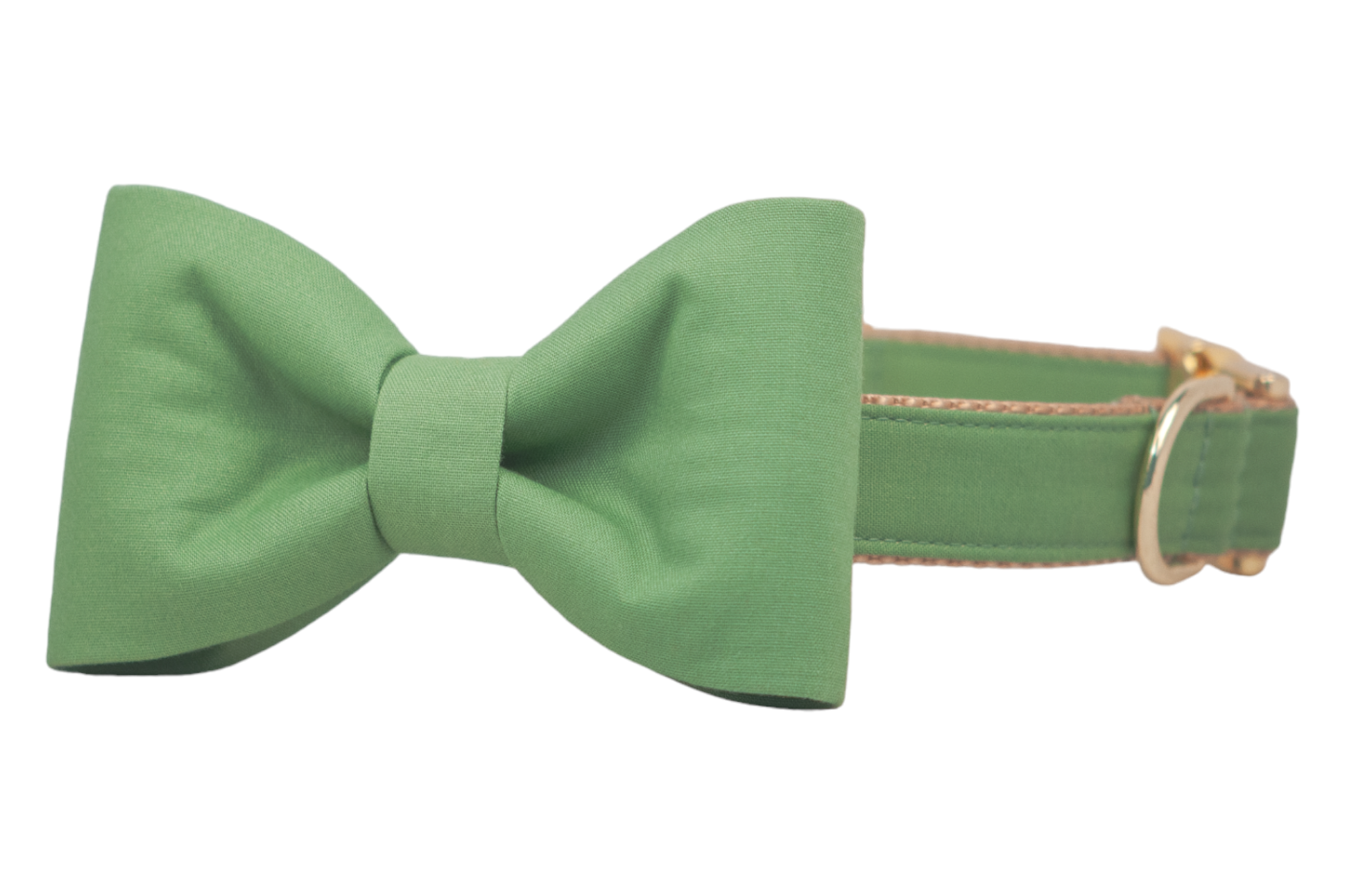 A laurel green dog collar with a matching classic bow tie attached at the front. The collar features light brown stitching, gold-tone hardware, and a polished finish.